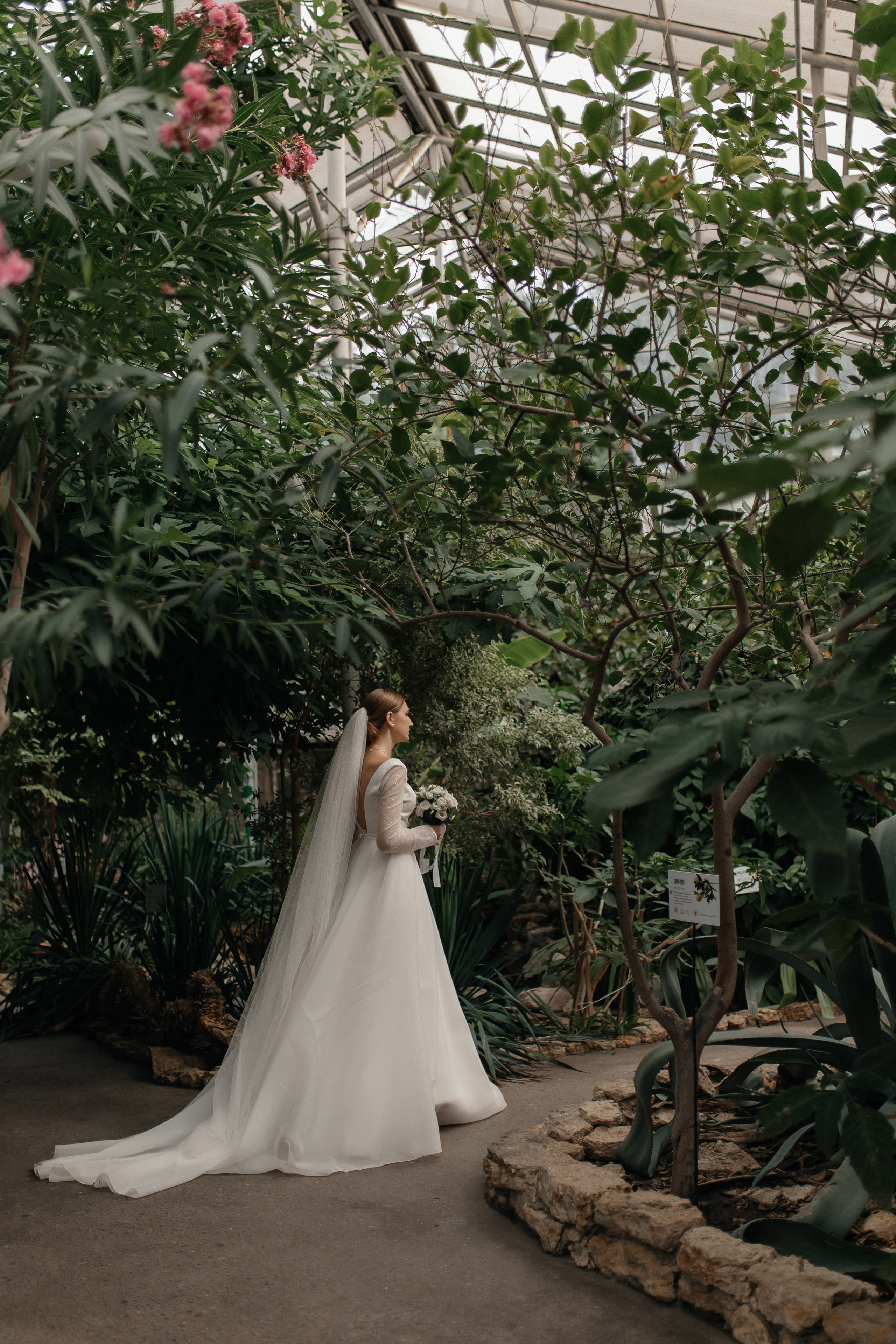 Дмитрий & Ксения