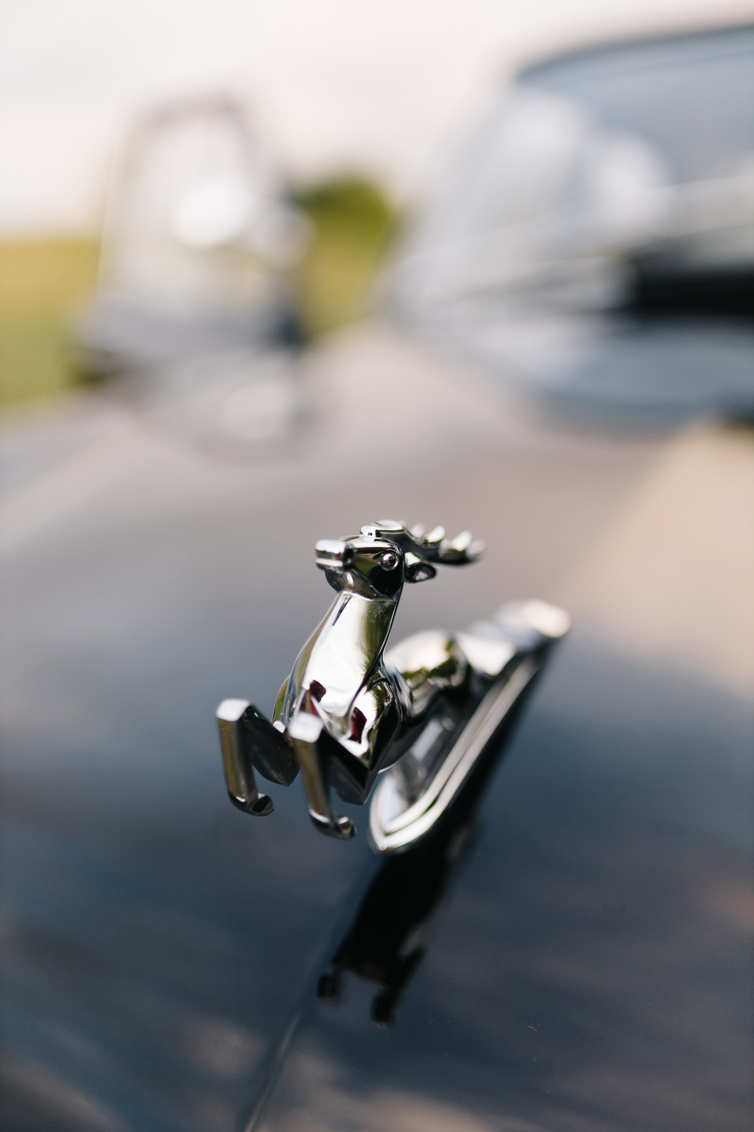 Евгений & Агата