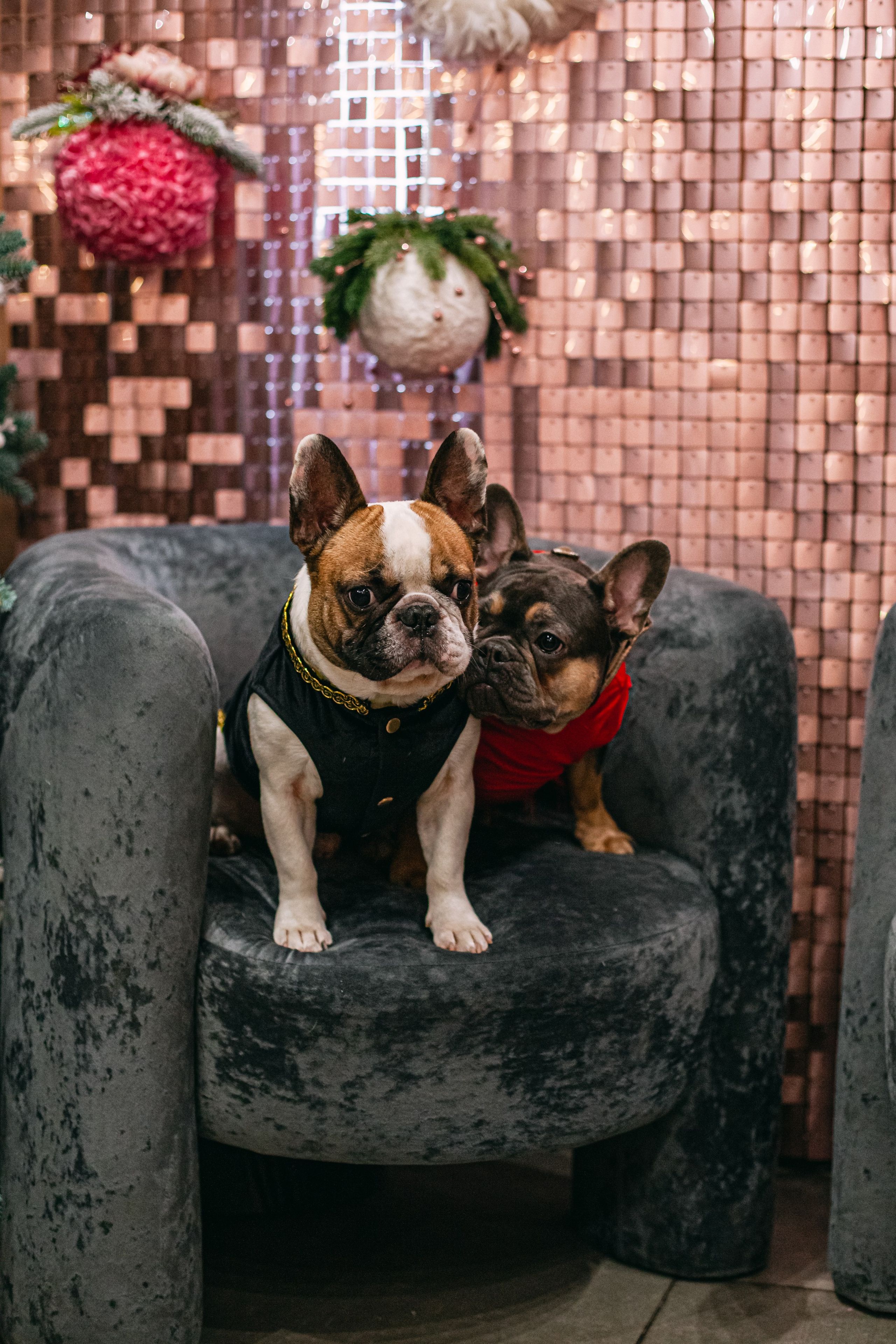 Бульёлка 2024. Фотограф-анималист Татьяна Степанова