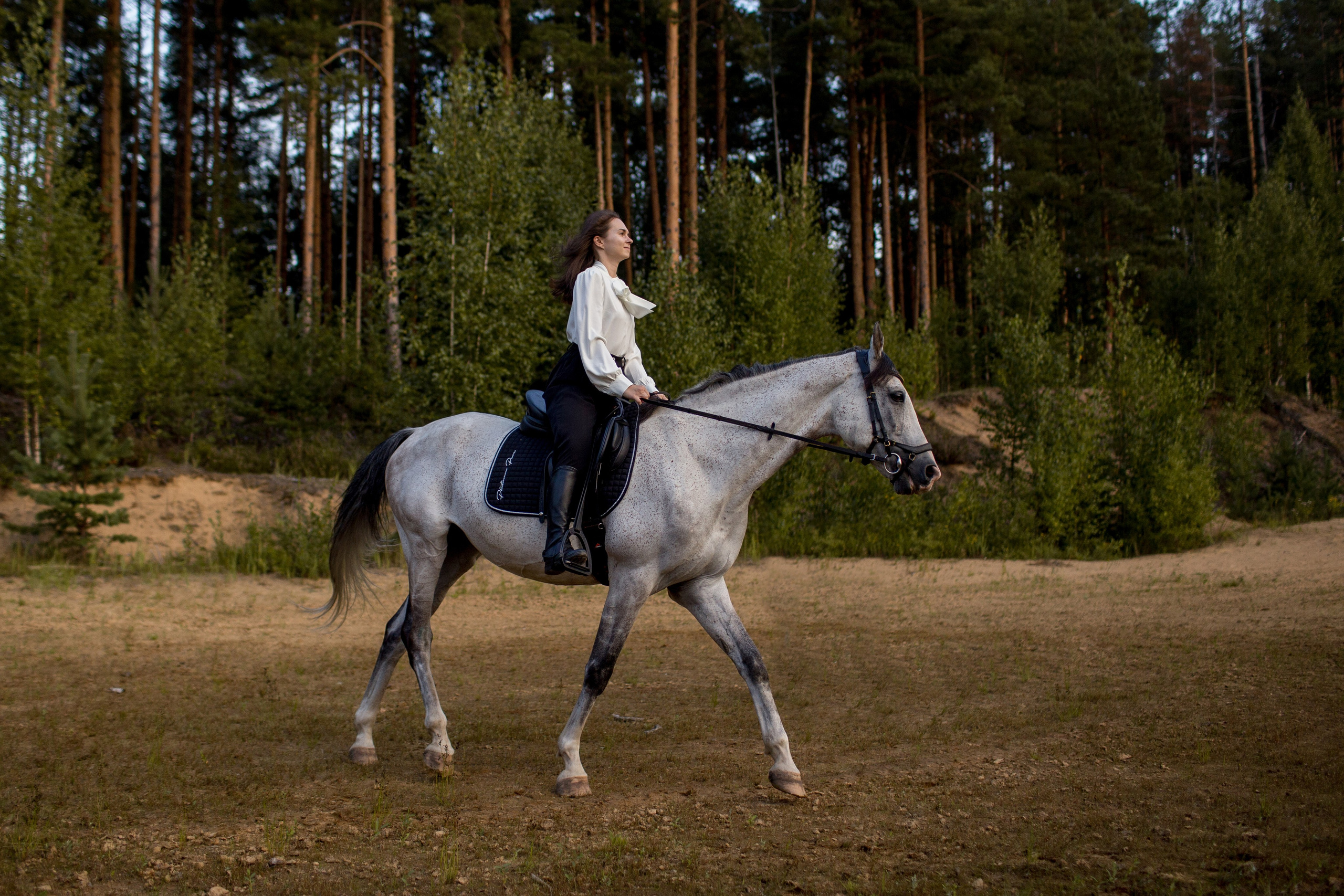Фотосессия с серой лошадью
