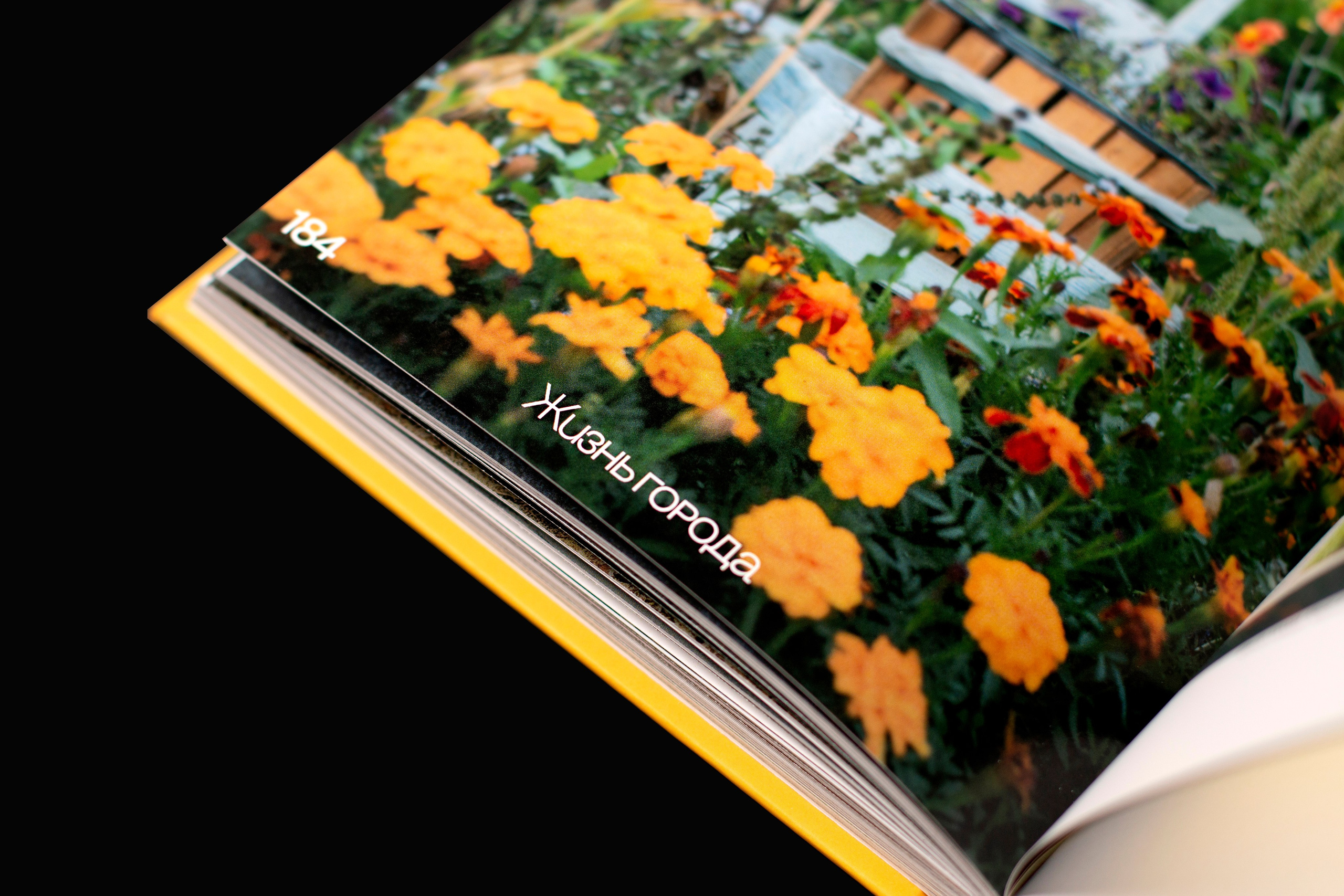 Книга. Фотограф Злата Спицына