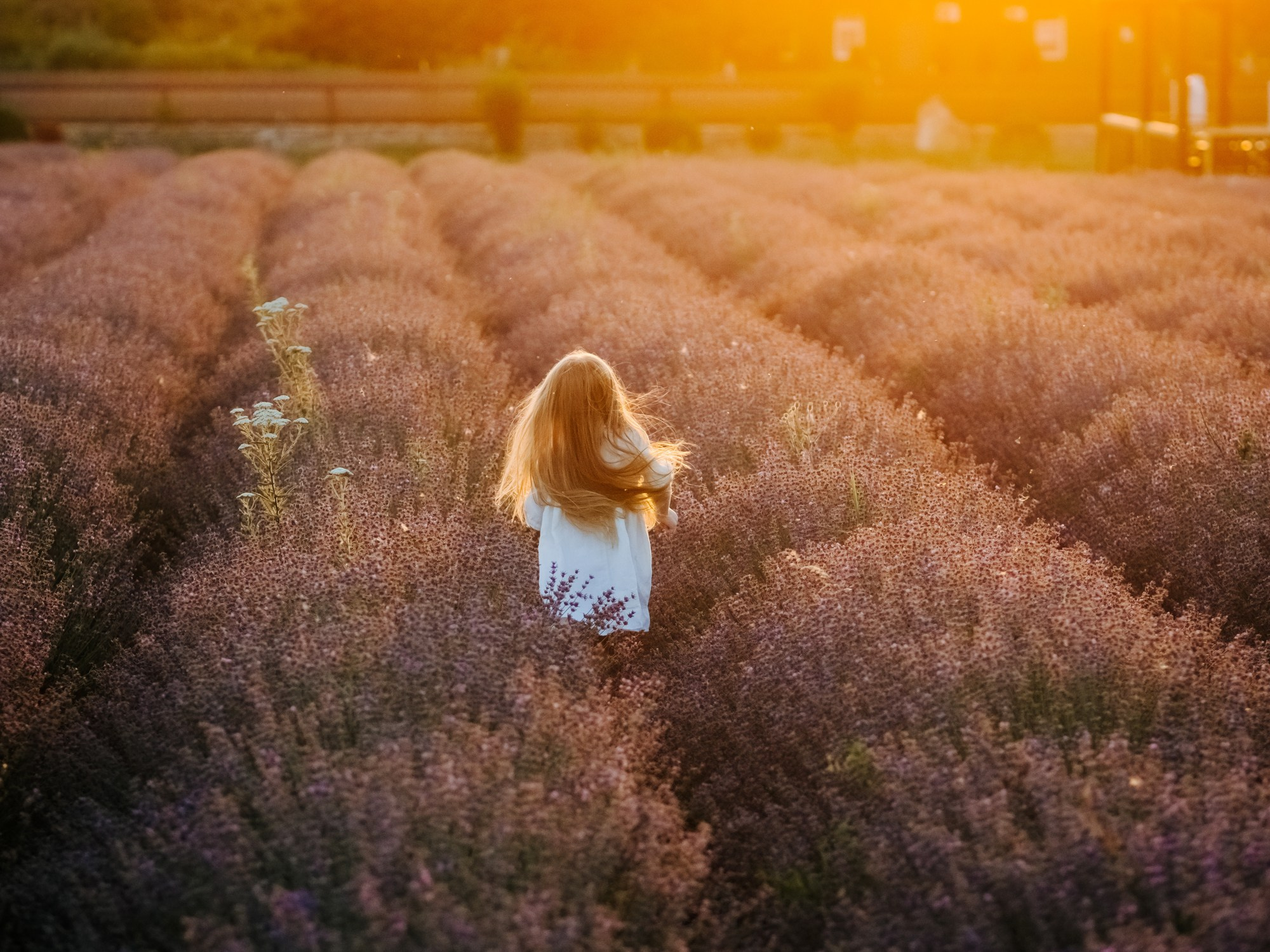 Лаванда. Семейный, детский, свадебный, фотограф в городе Анапа