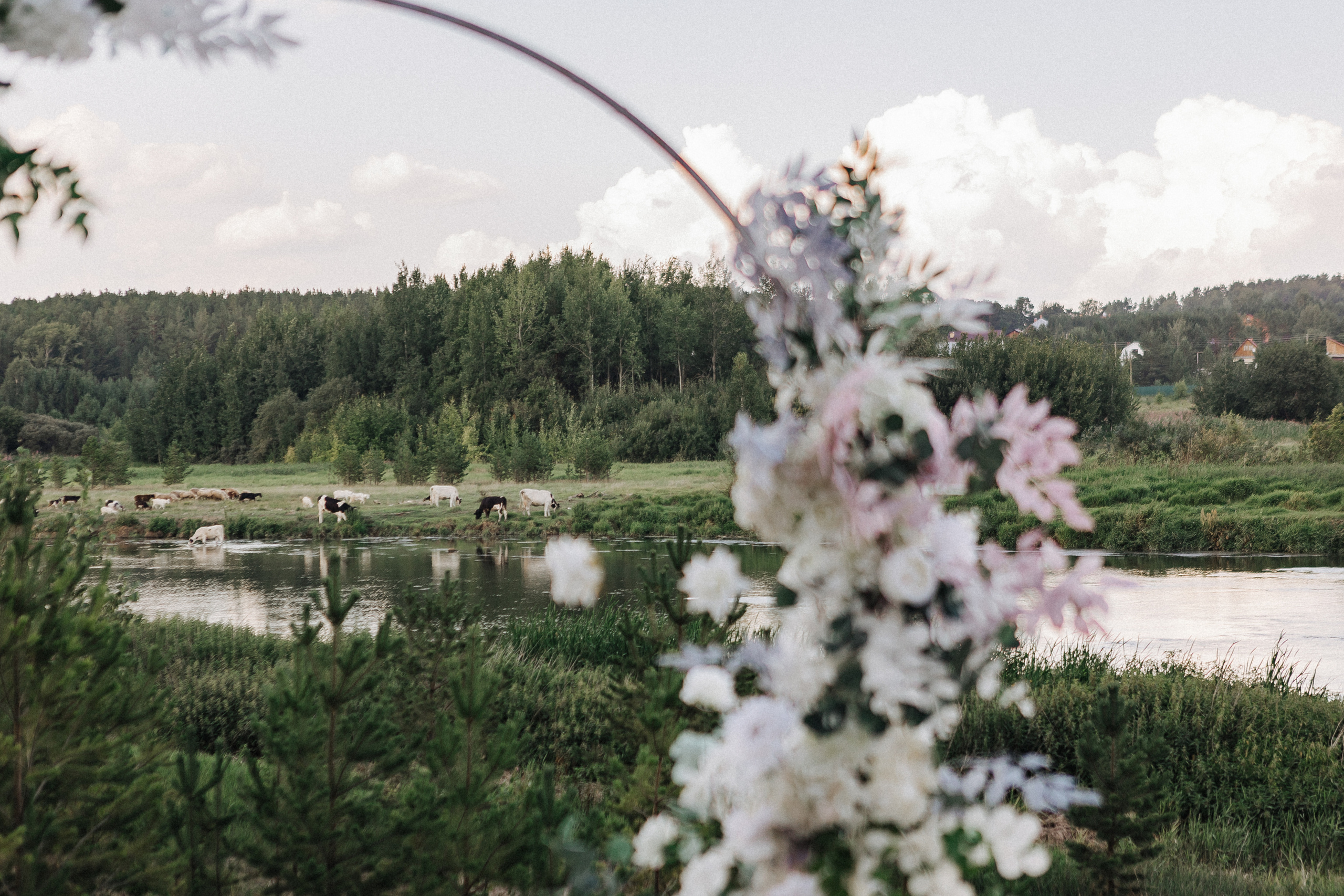 Никита и Мария. Свадебный фотограф в Москве и Екатеринбурге