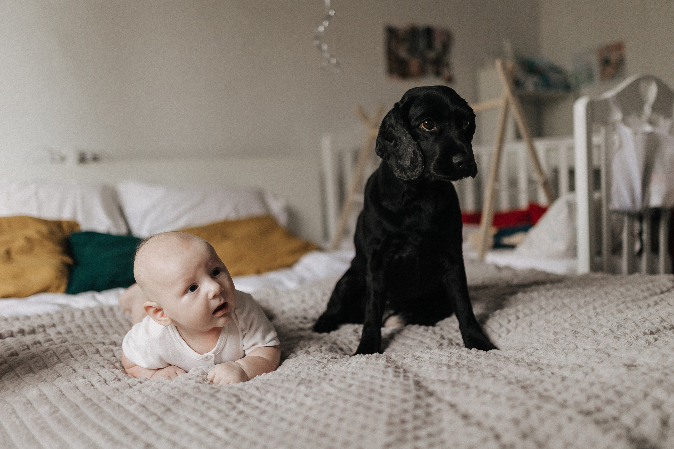 Домашняя идиллия. Свадебный фотограф в Москве и Екатеринбурге