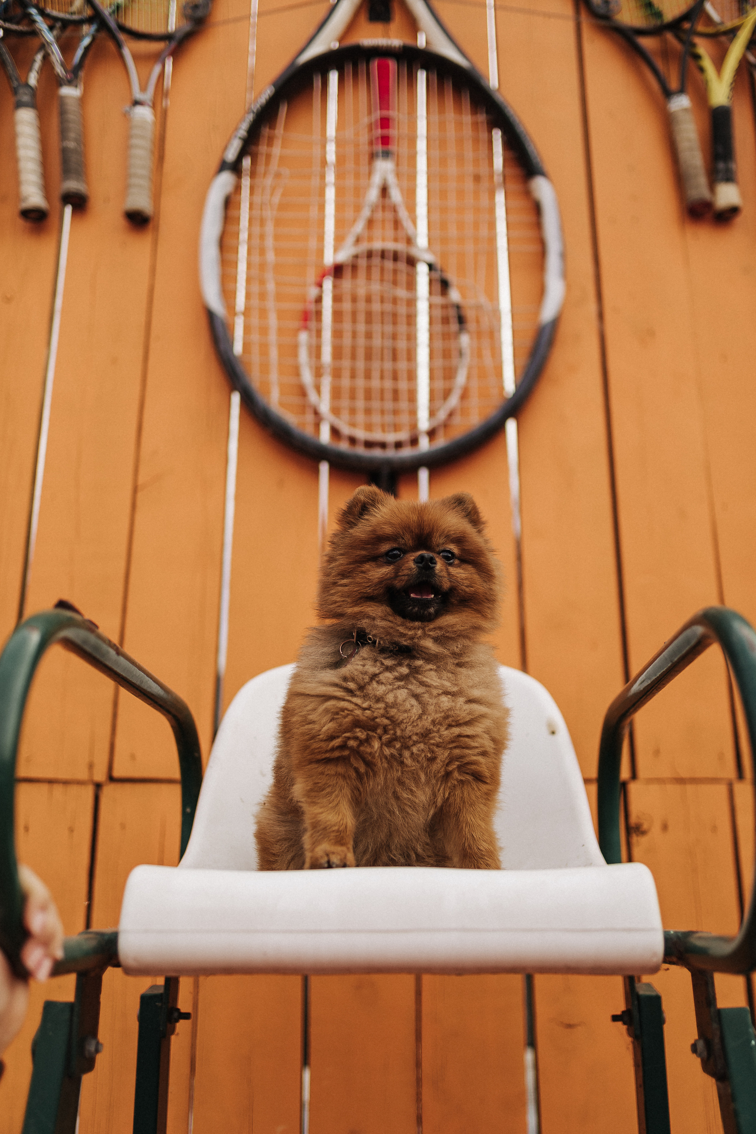 Pink Love. Свадебный фотограф в Москве и Екатеринбурге