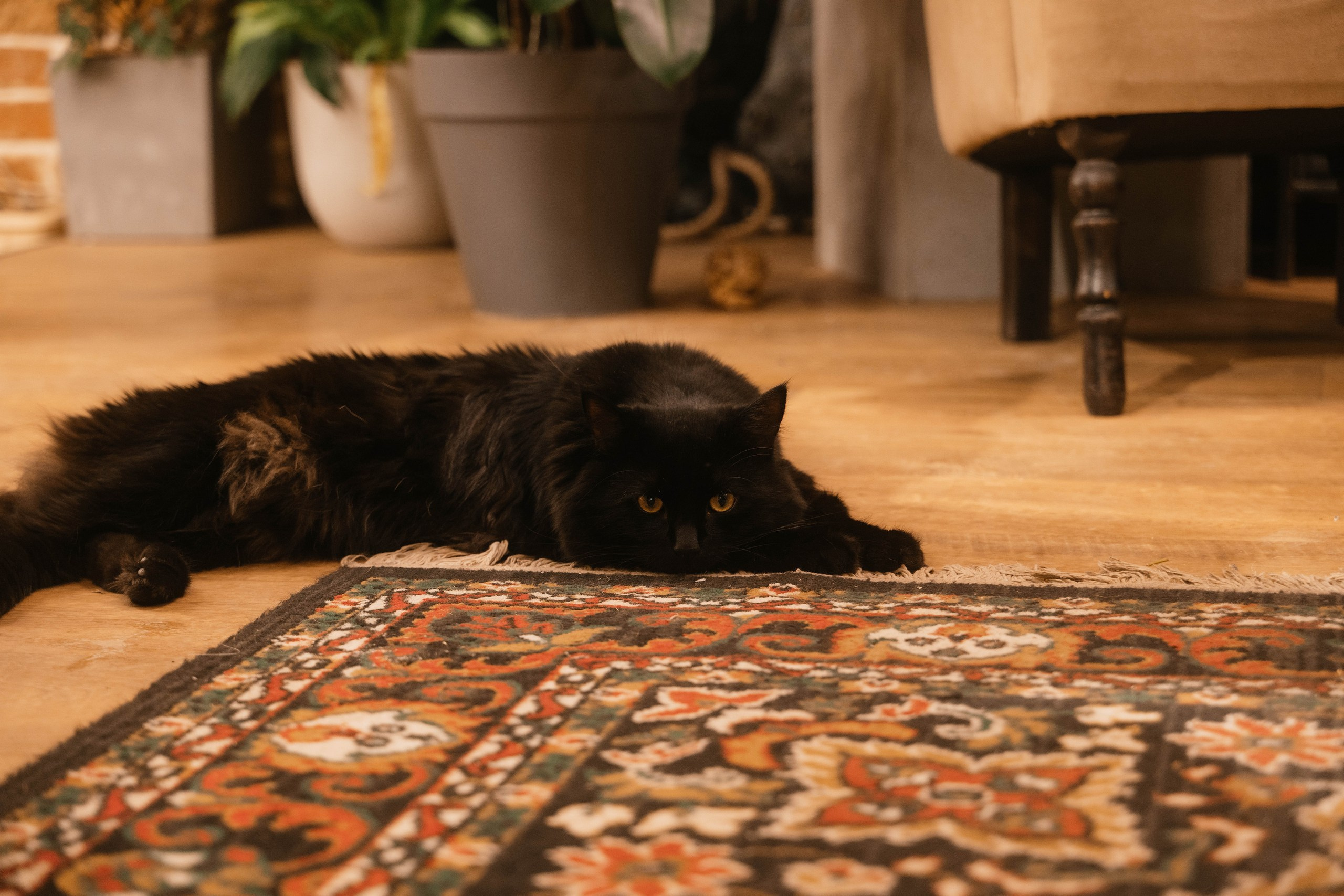 Мастер-класс по рисованию на день рождения. Свадебный, семейный фотограф в Рязани Лена Брант