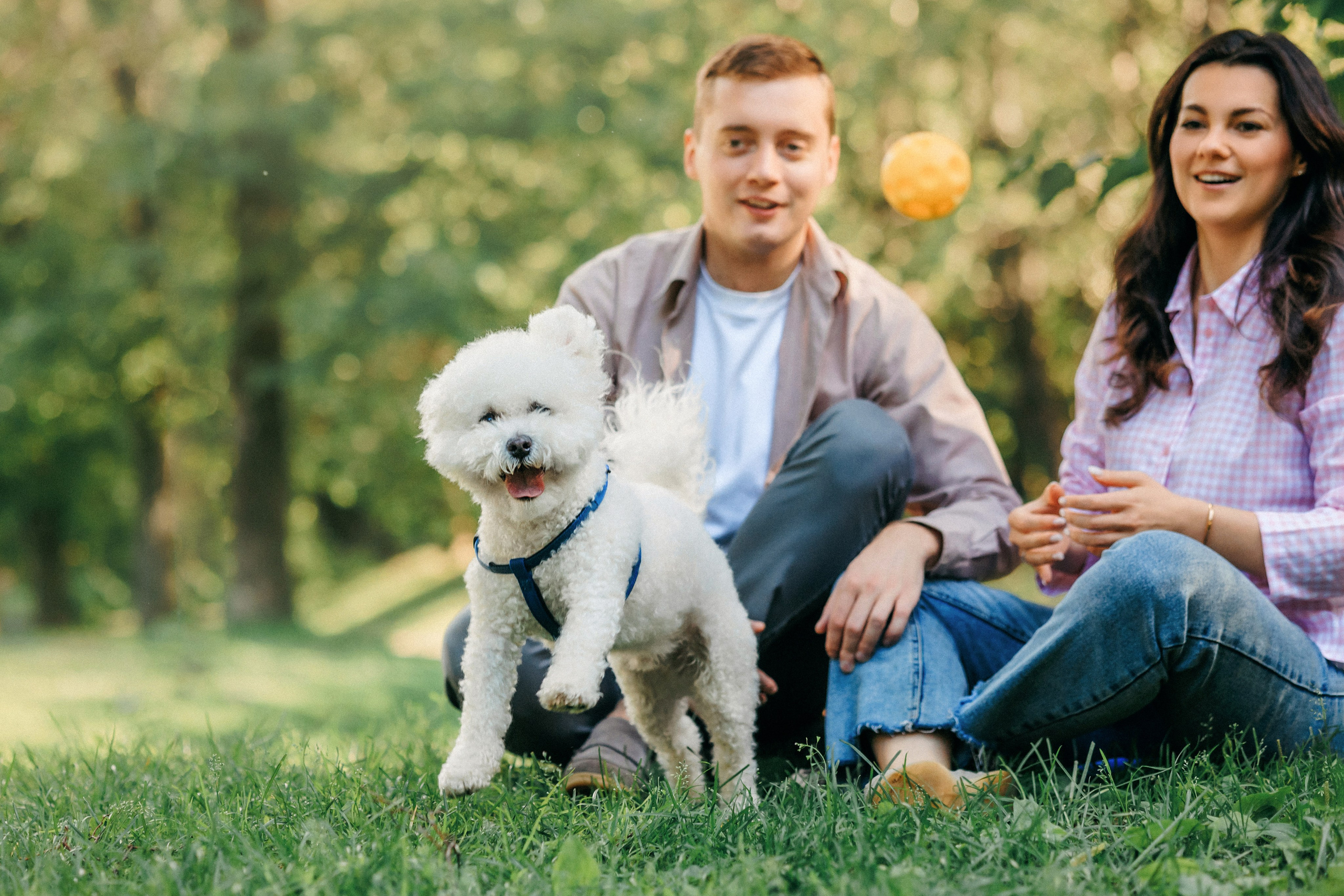 Марина, Данил и Бруно. Фотограф-анималист Елена Радченко, Москва