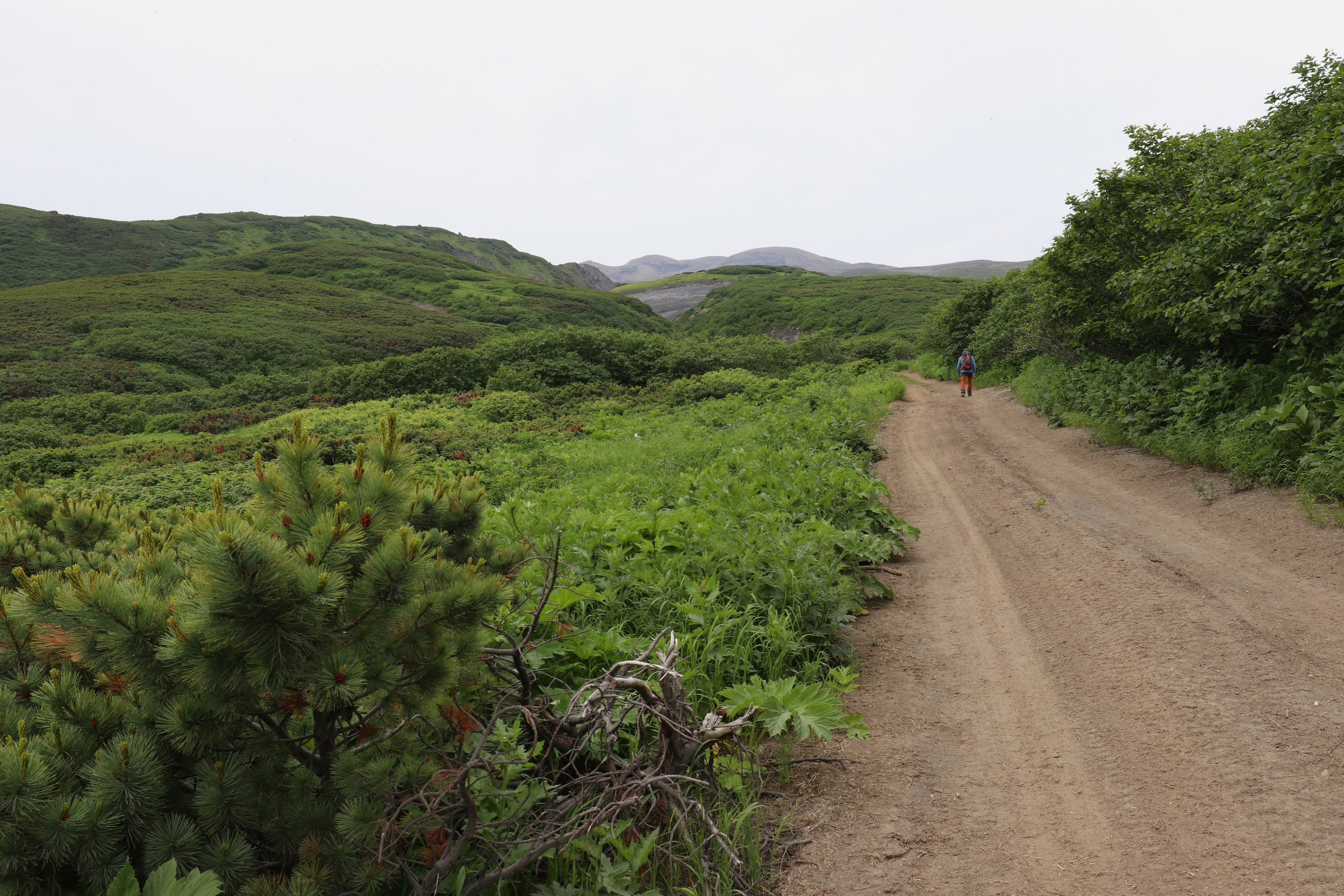 Камчатка и о. Парамушир. Июль 2024. Путешественник-фотограф из Санкт-Петербурга Татьяна Свистулина