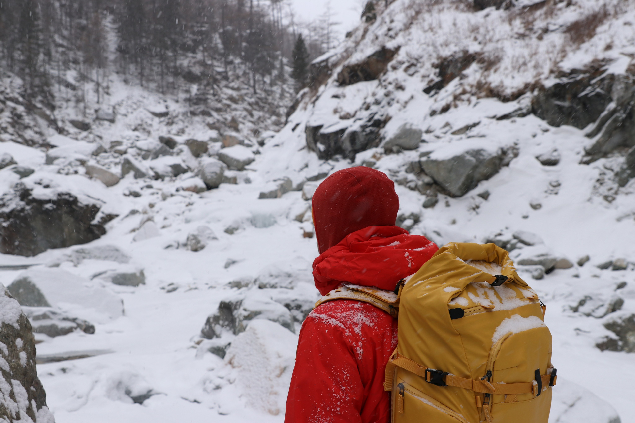 Аршан. Январь 2024. Путешественник-фотограф из Санкт-Петербурга Татьяна Свистулина