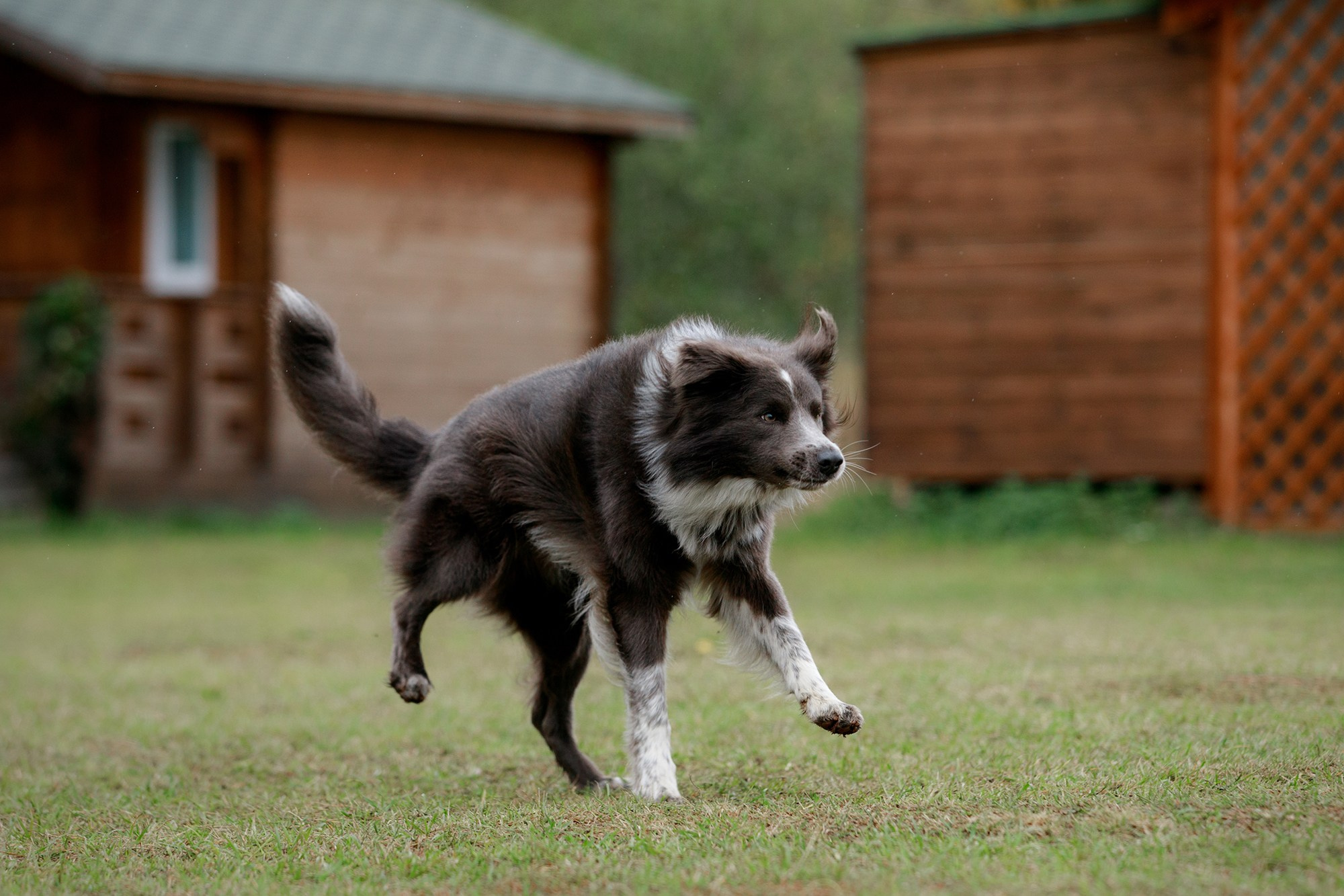 Лагерь по ОБД с Инной Баженовой. Фотограф-анималист Mary Mart — Москва, Питер