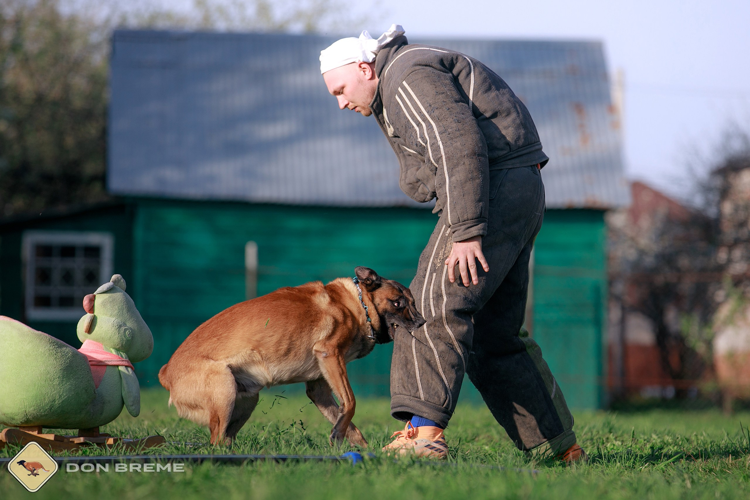 Семинар для фигурантов, день 4. Фотограф-анималист Mary Mart — Москва, Питер