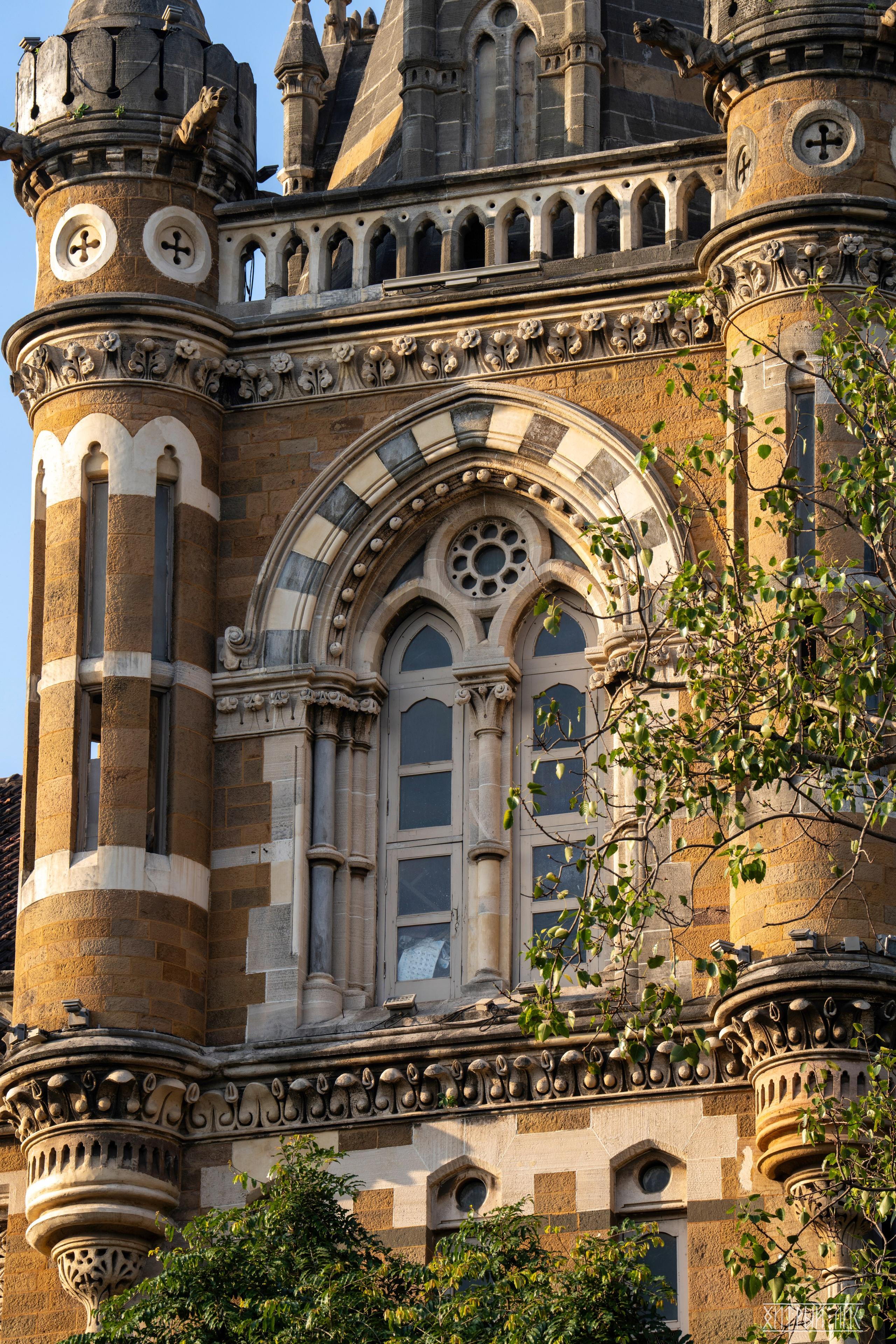 Гоа-Мумбаи. Фотограф-путешественник Самойлов Максим «Sly Fox»