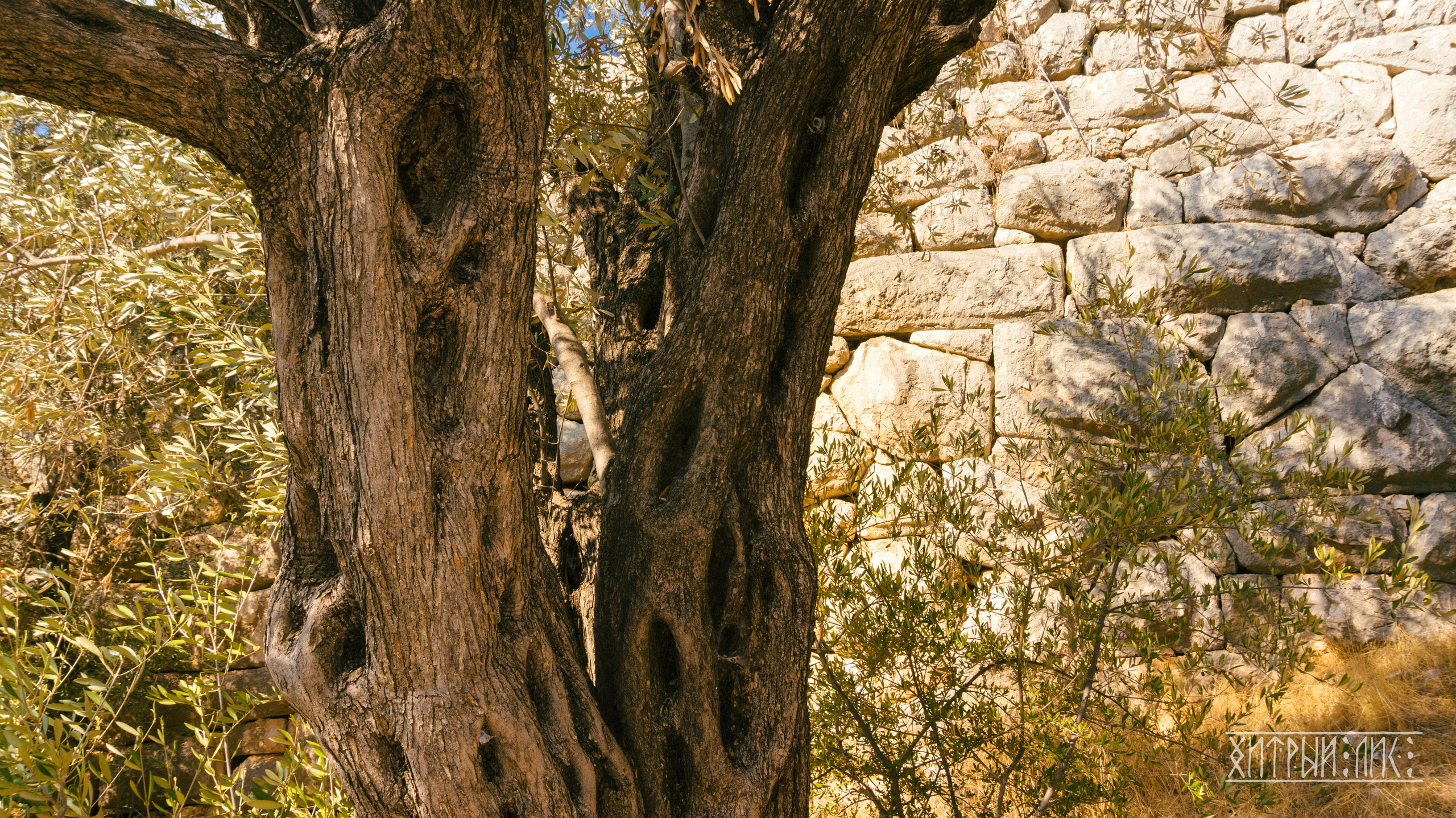 Турция. Ликийский путь. Фотограф-путешественник Самойлов Максим «Sly Fox»