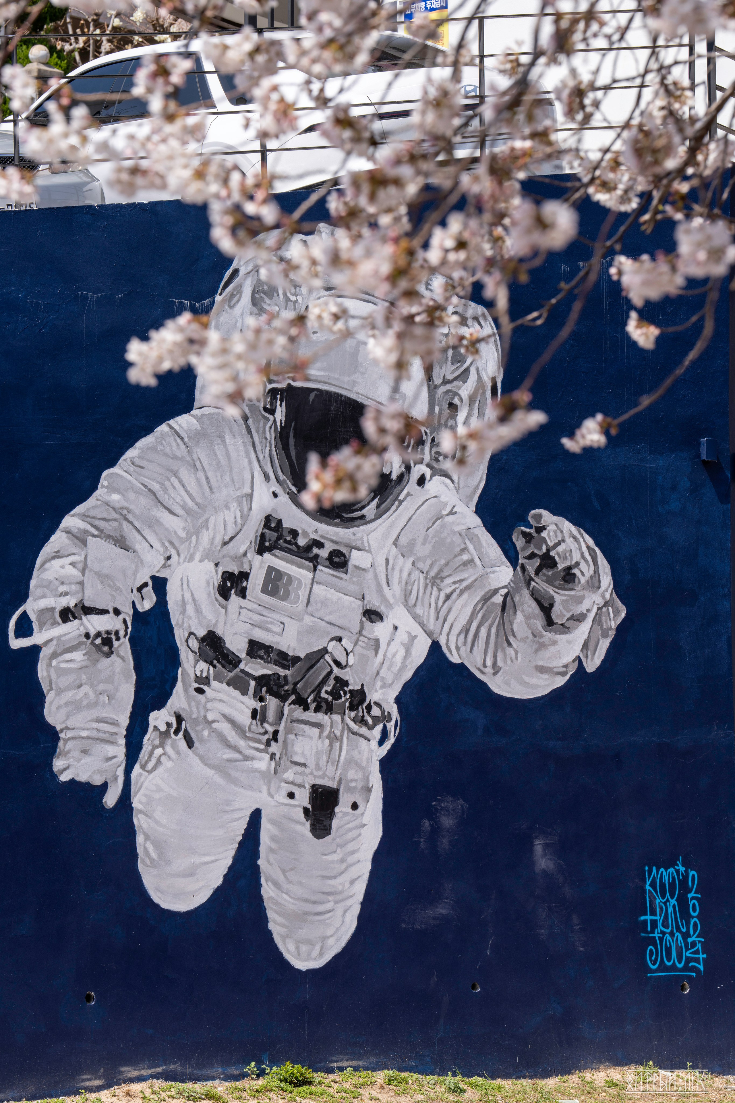 Южная Корея. Фотограф-путешественник Самойлов Максим «Sly Fox»