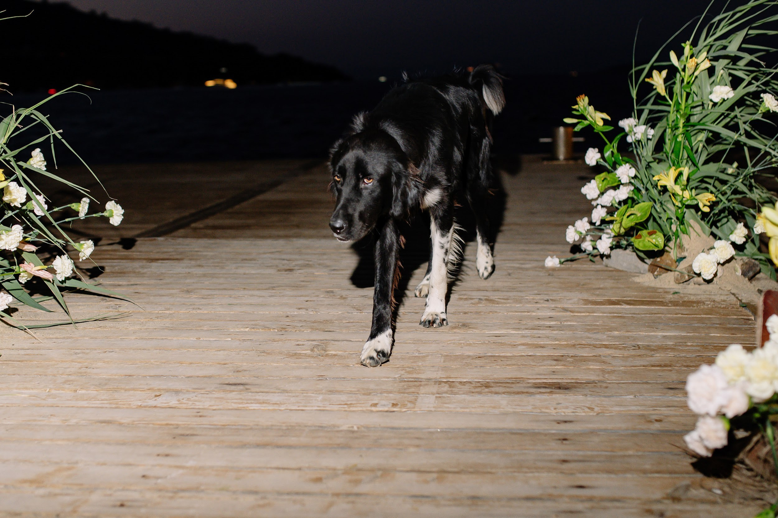Паша & Настя. Бодрум. Оформление свадеб, декор свадеб Вера Маркова, Москва