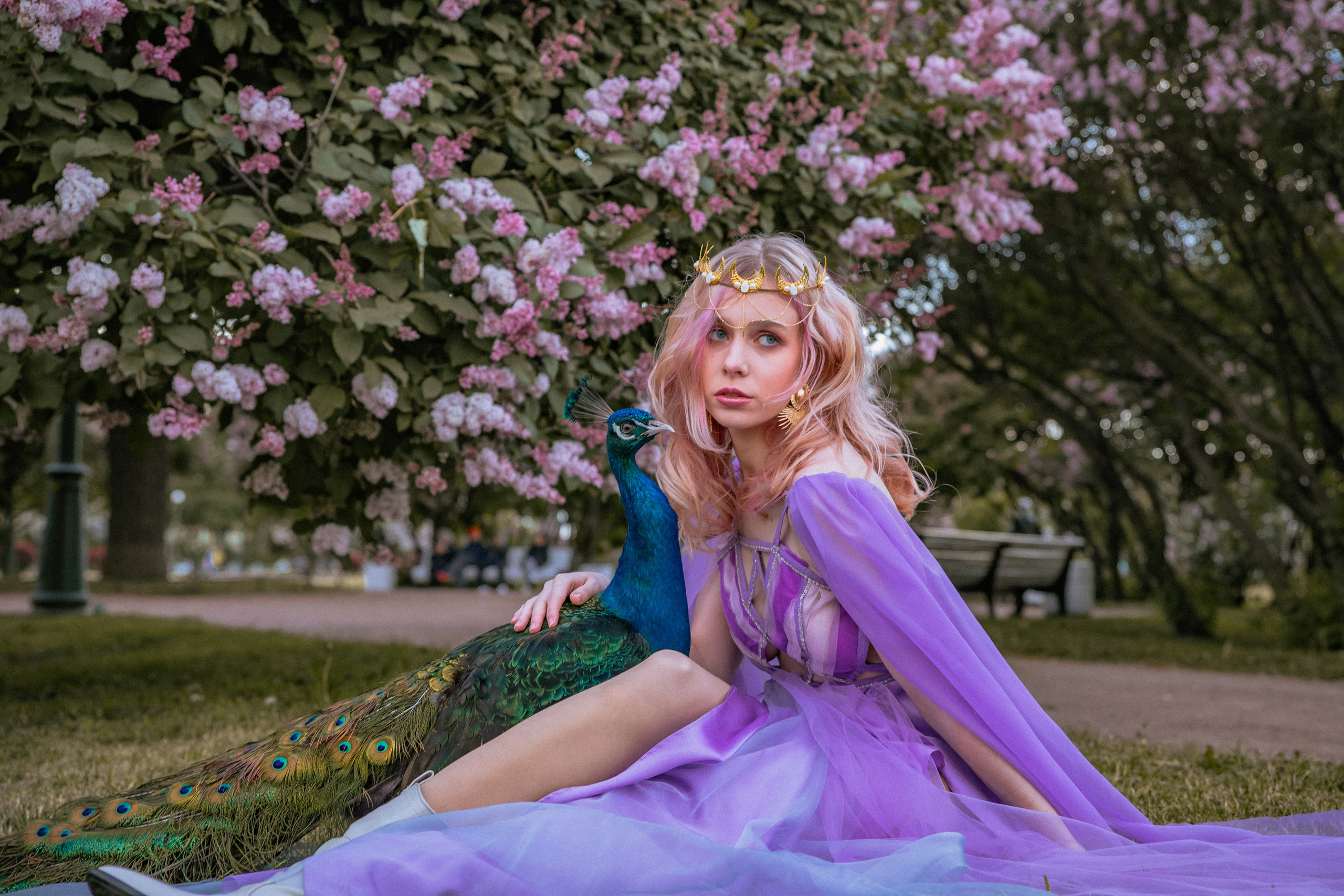 Павлин. Elena Sova — семейный и женский фотограф в Санкт-Петербурге