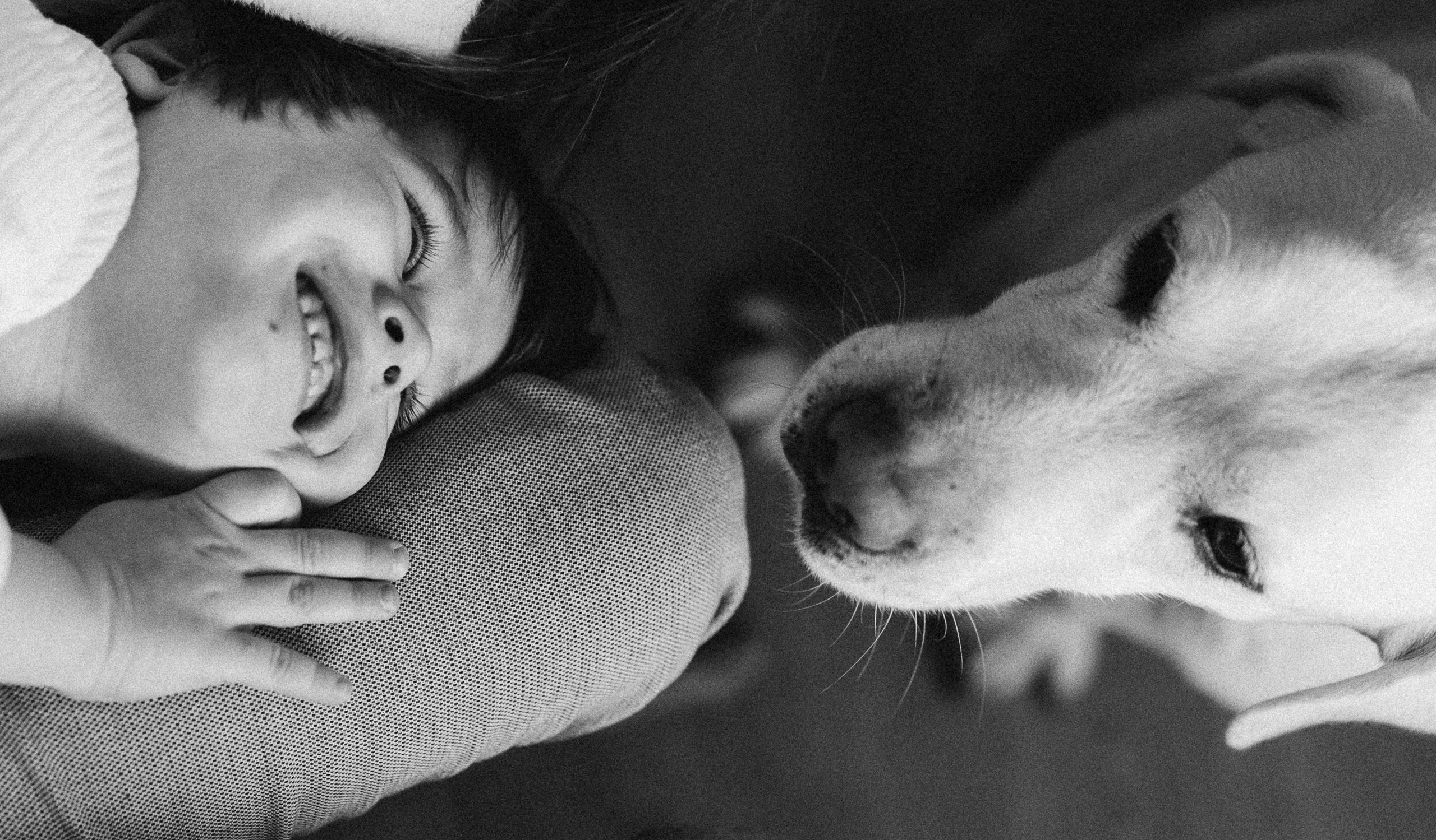 Семейный фотограф в Челябинске Волченко Ксения