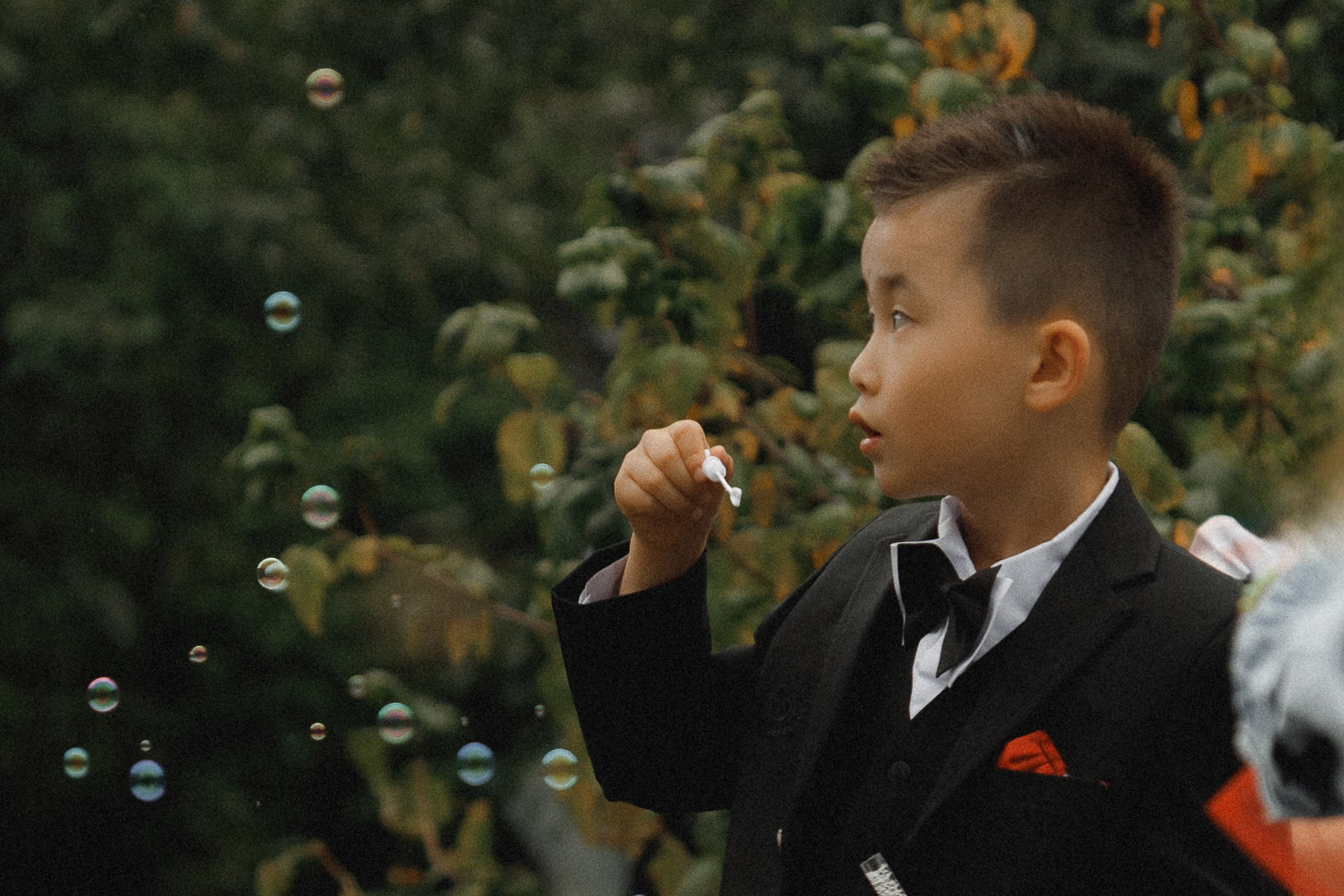 Алеся & Алексей. Герасимов Дмитрий