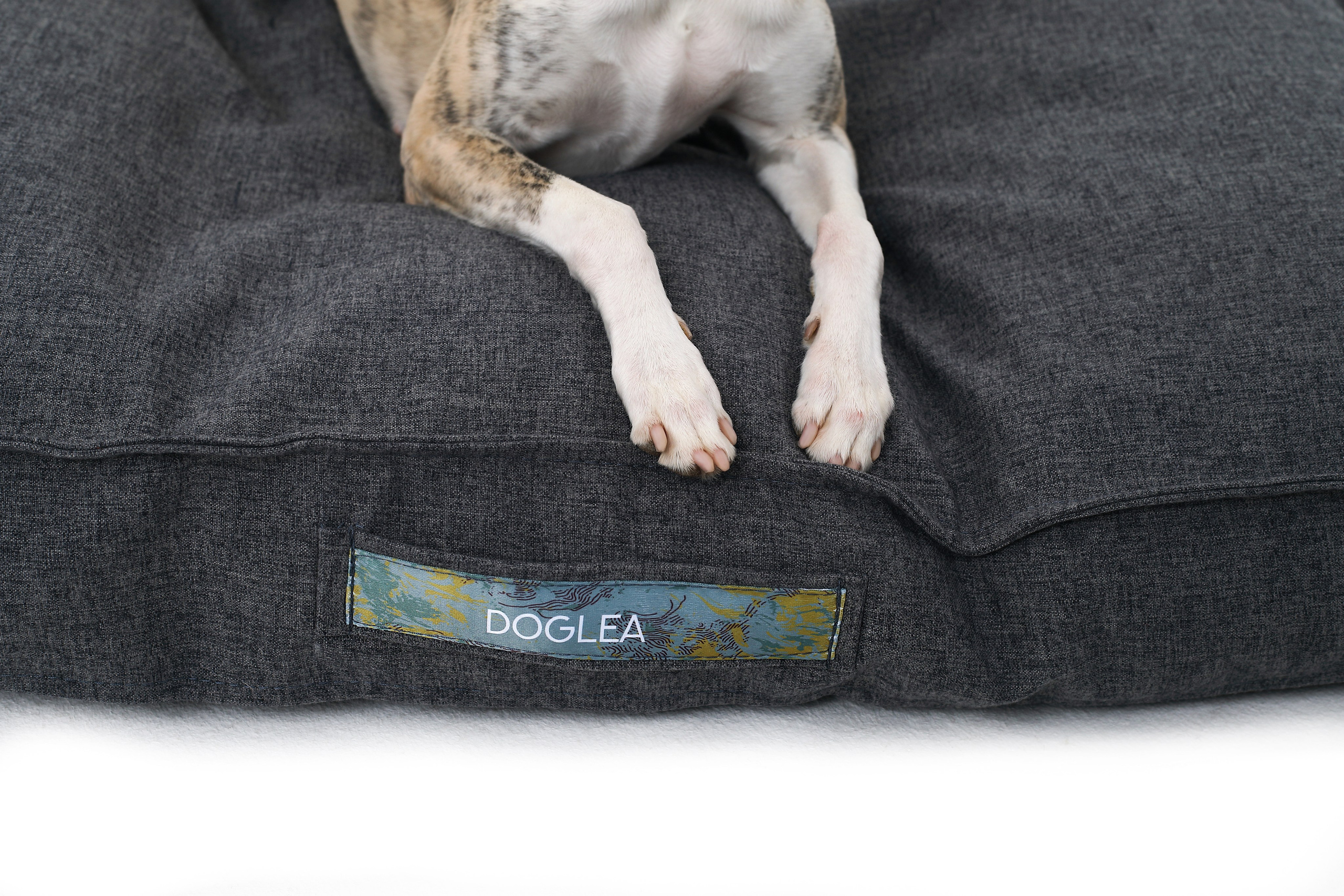 Для брендов. Фотограф- анималист Санкт-Петербург