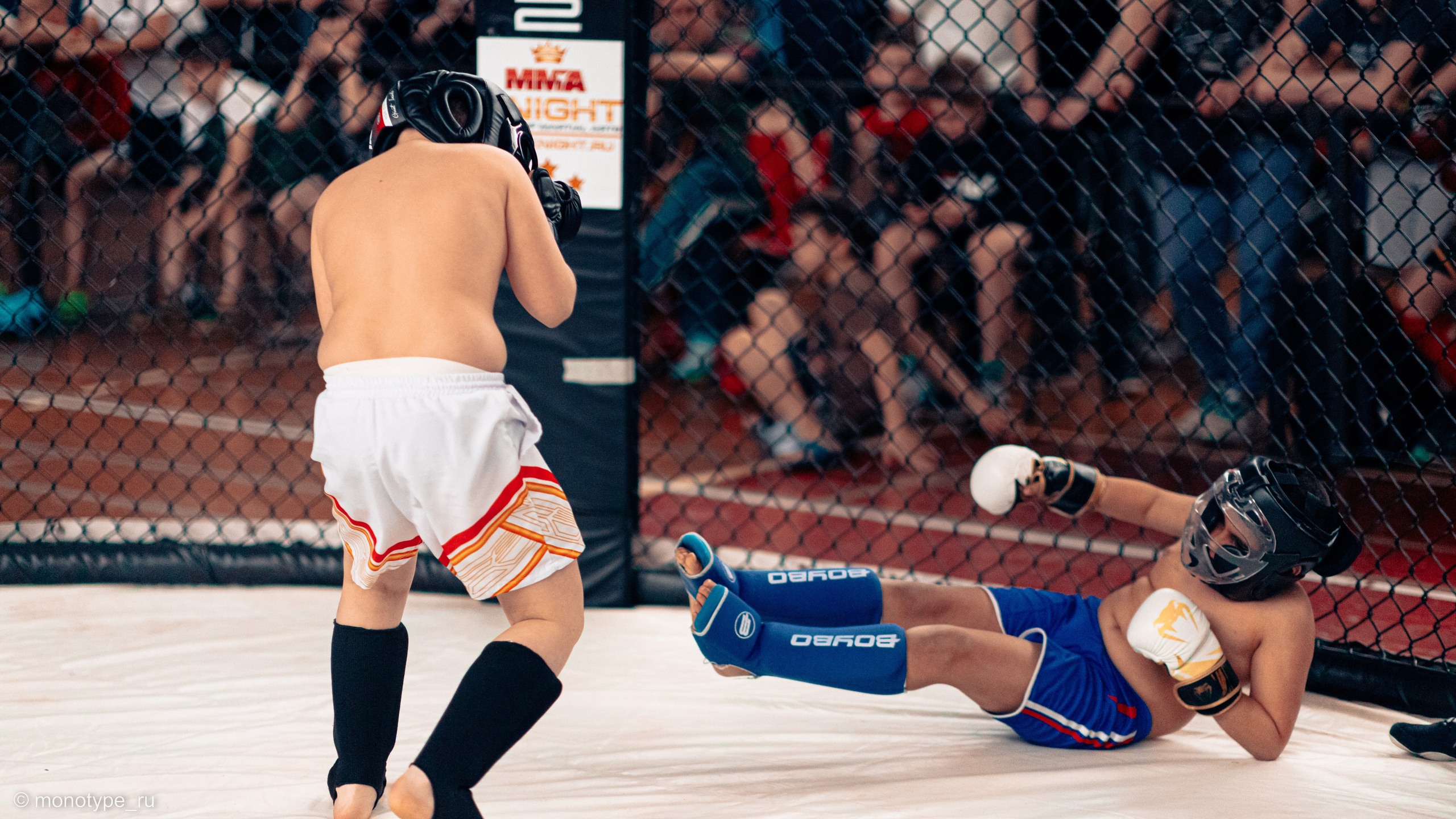 MMA. Бойцовский турнир