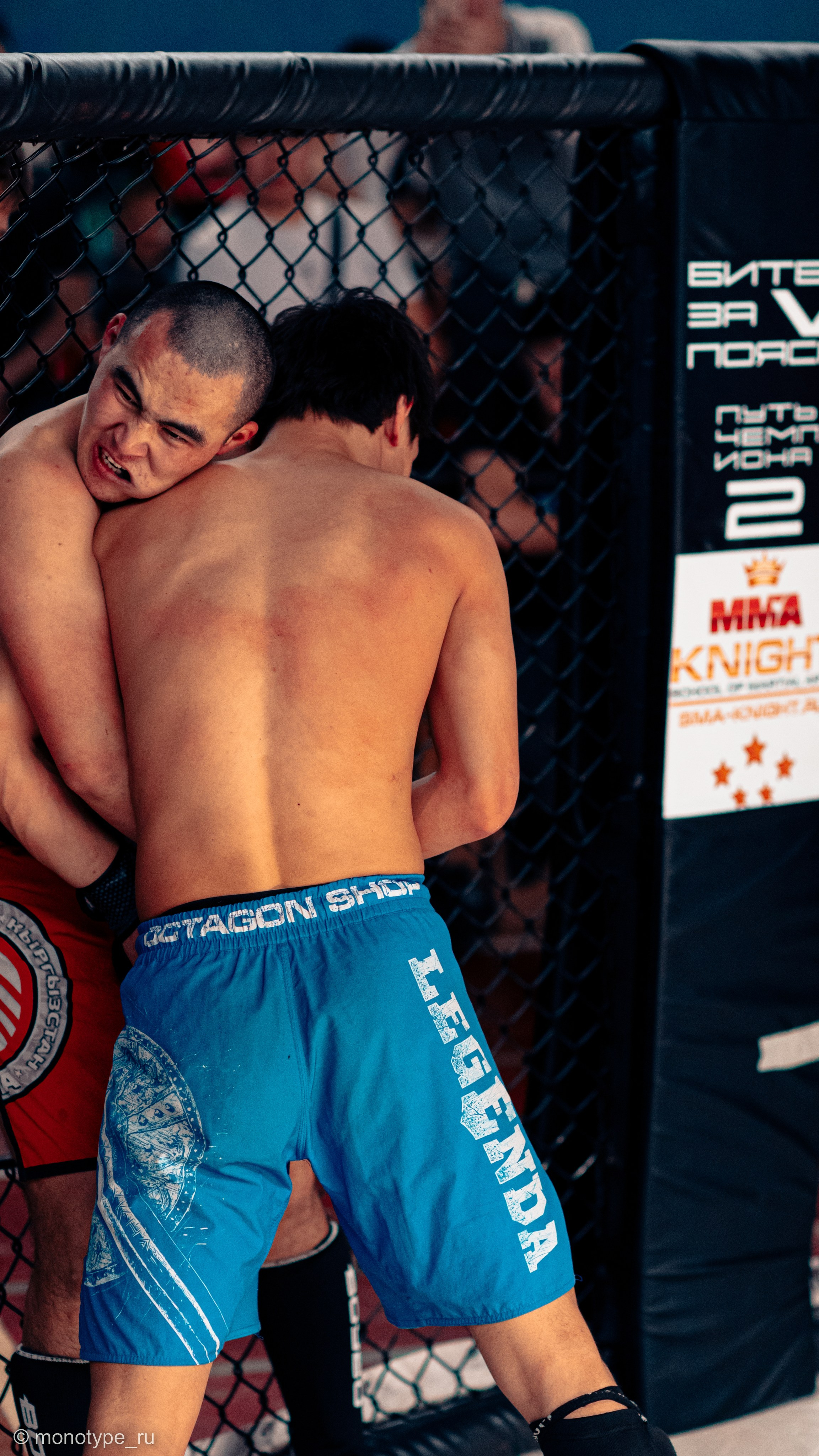 MMA. Бойцовский турнир