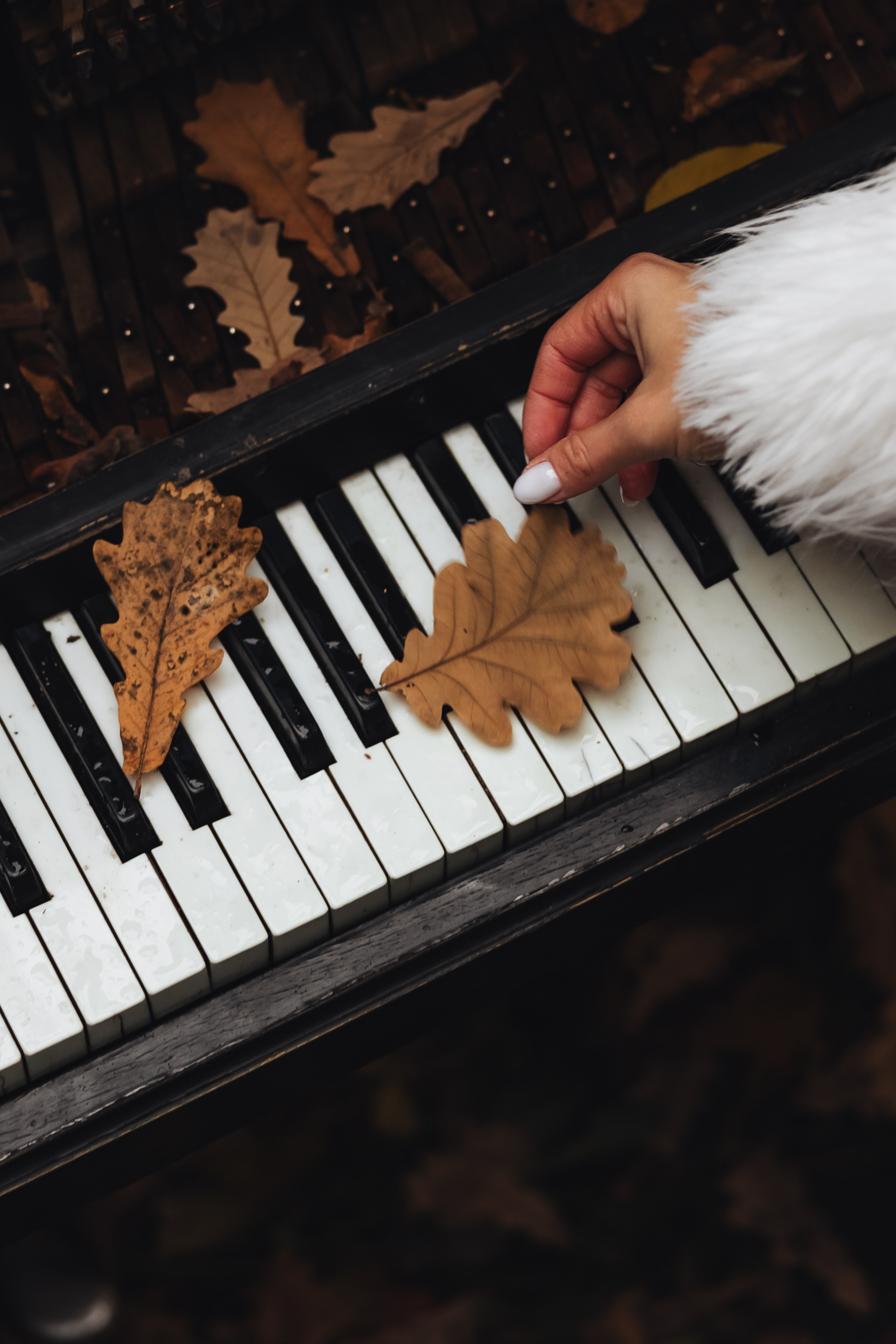 Осень на двоих. Jen.swph Свадебный фотограф