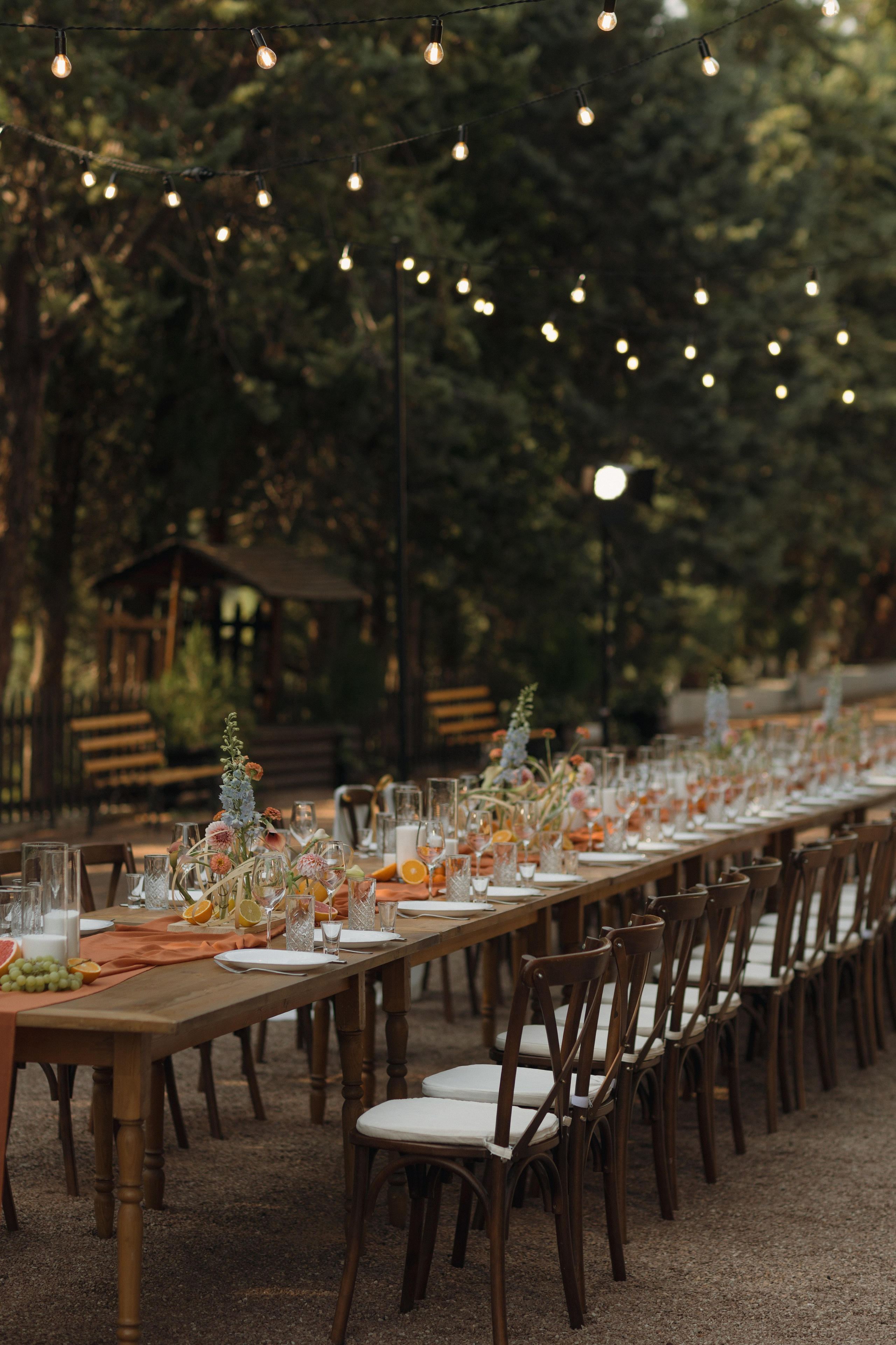 Диана и Никита. Огранизация свадьбы в Крыму