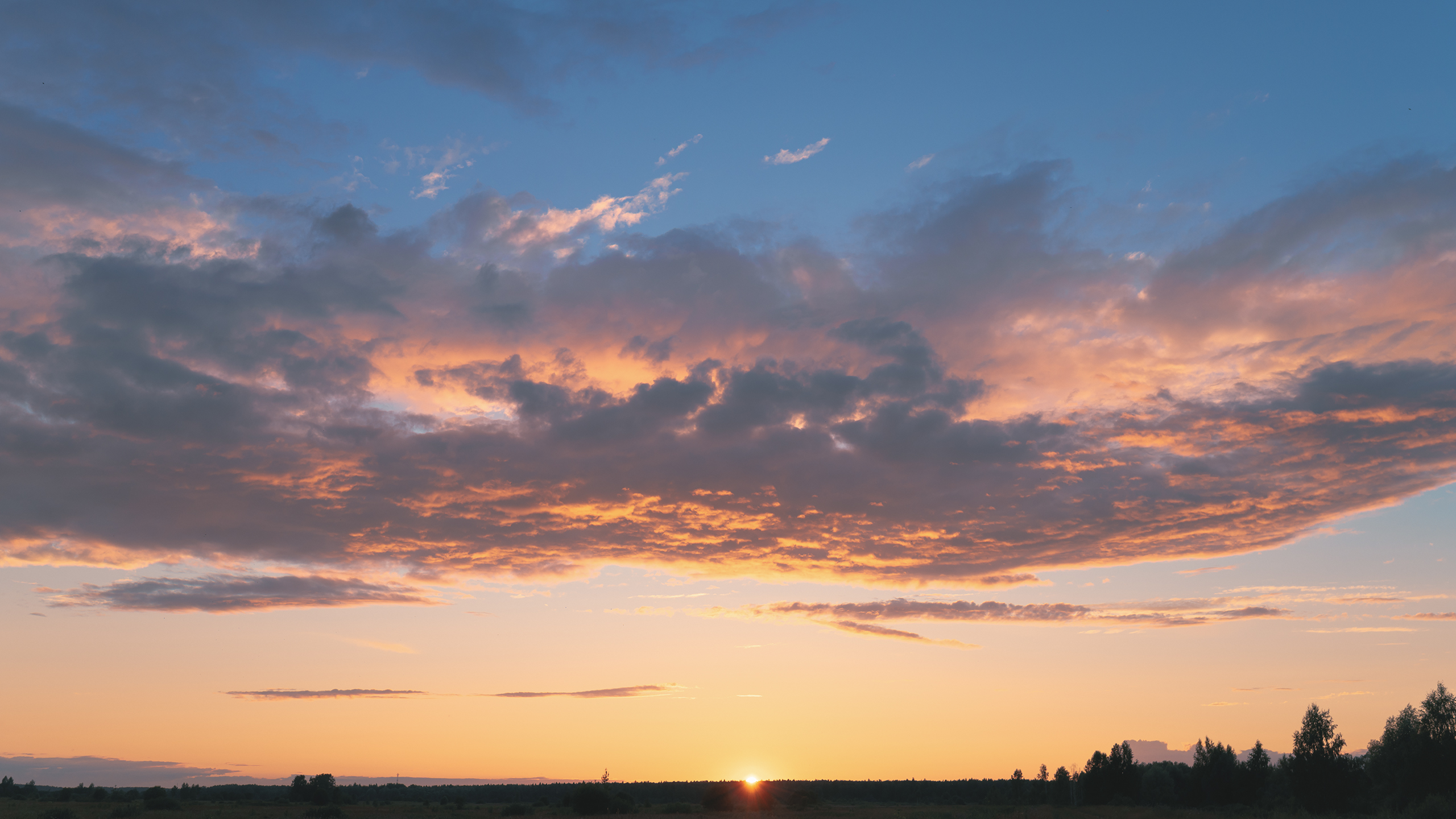 Небо видело всё. Komonev