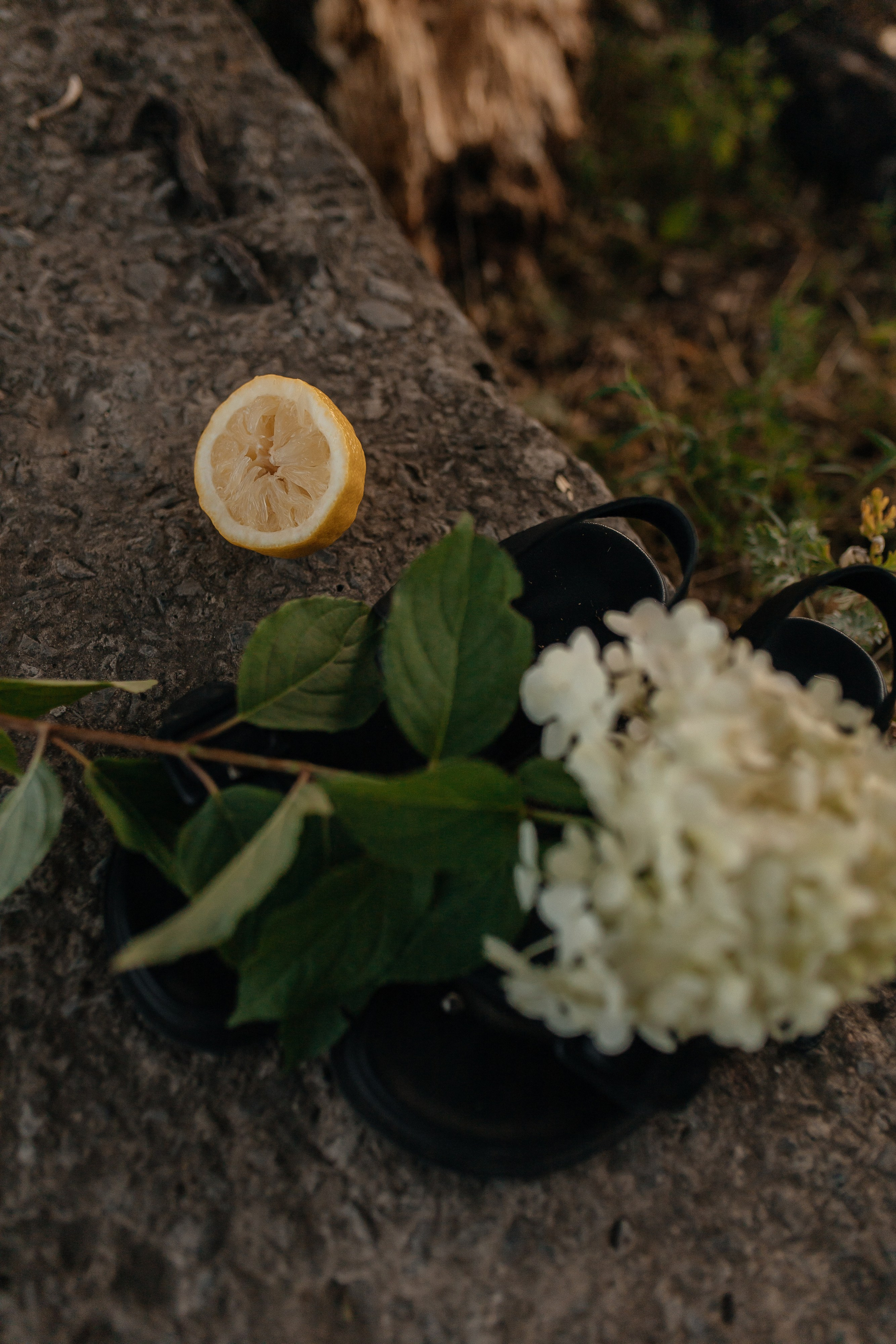Анастасия. Семейный фотограф Губкин/Старый Оскол