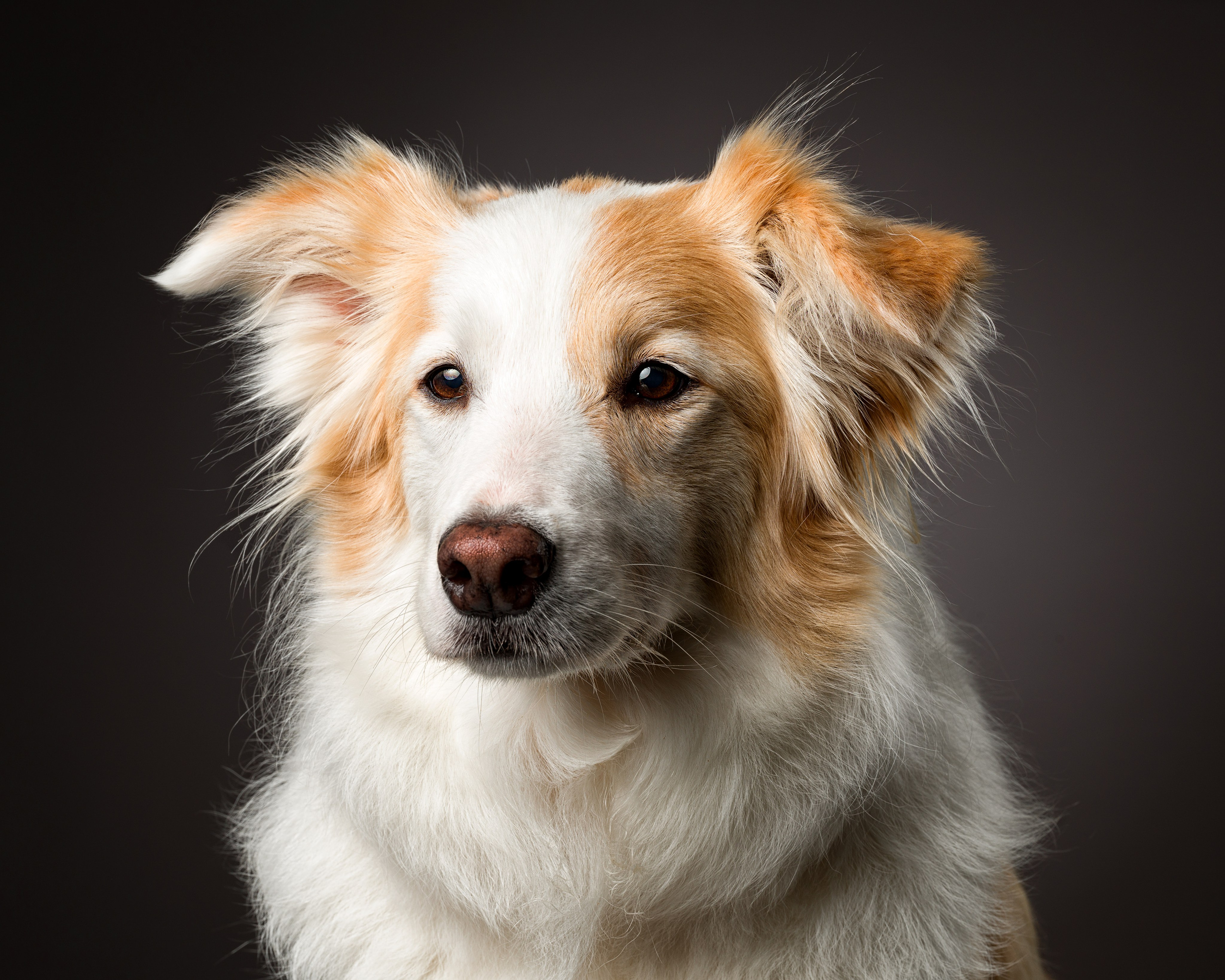 Студийные съемки. Портретный фотограф в Челябинске Катерина Руди