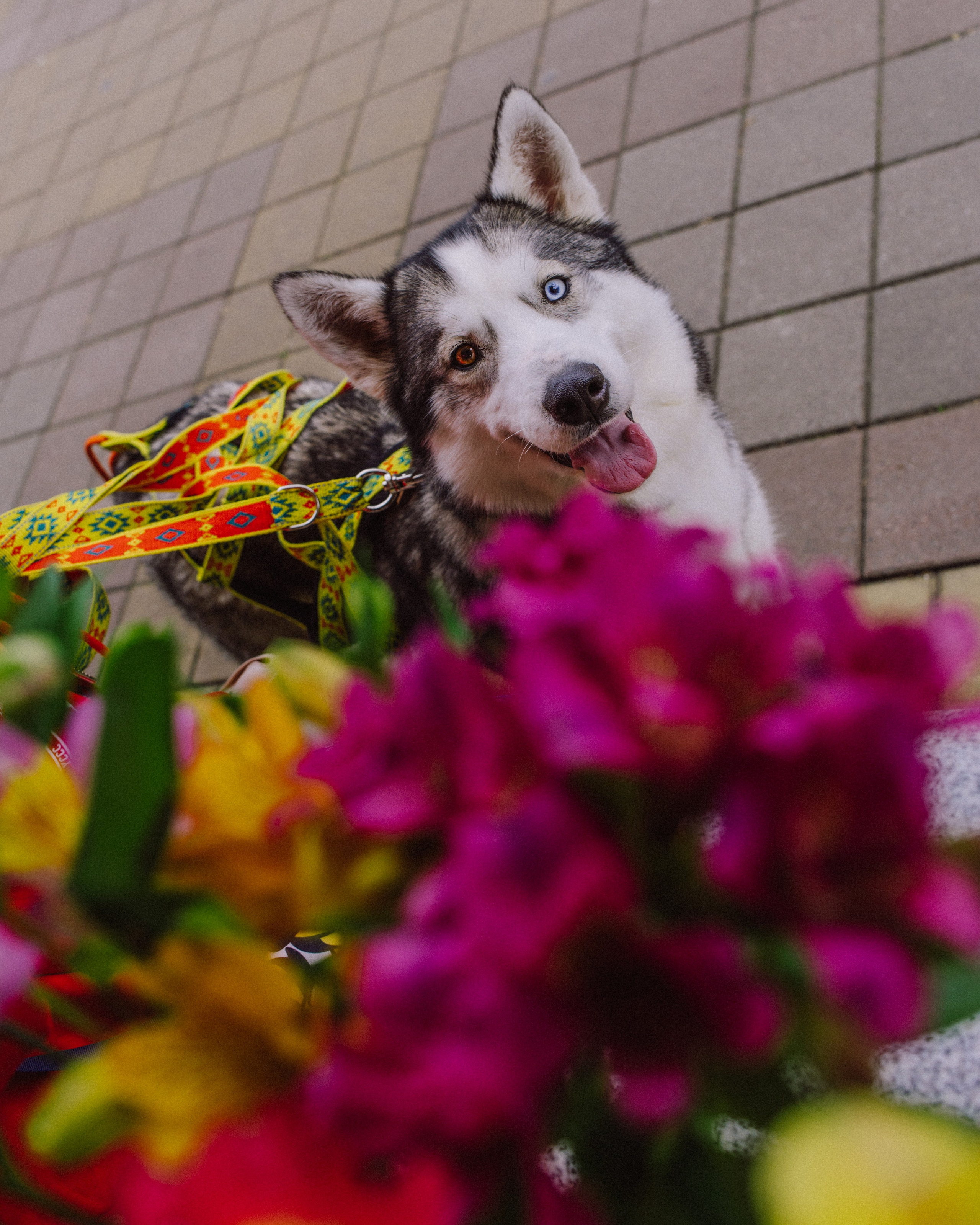 Животные. Фотограф Сочи-Краснодар
