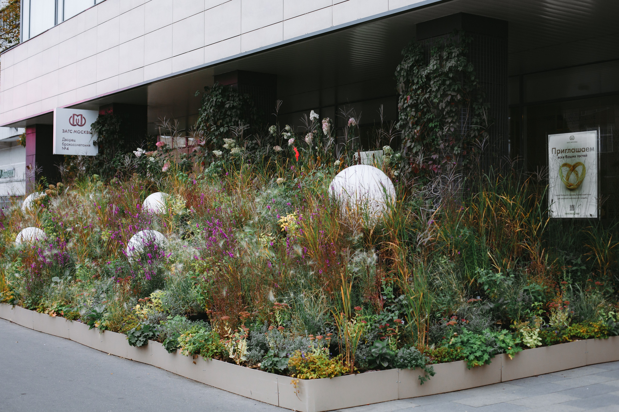 Александр и Любовь. Свадебный фотограф Александр Абрамов Москва / Зеленоград