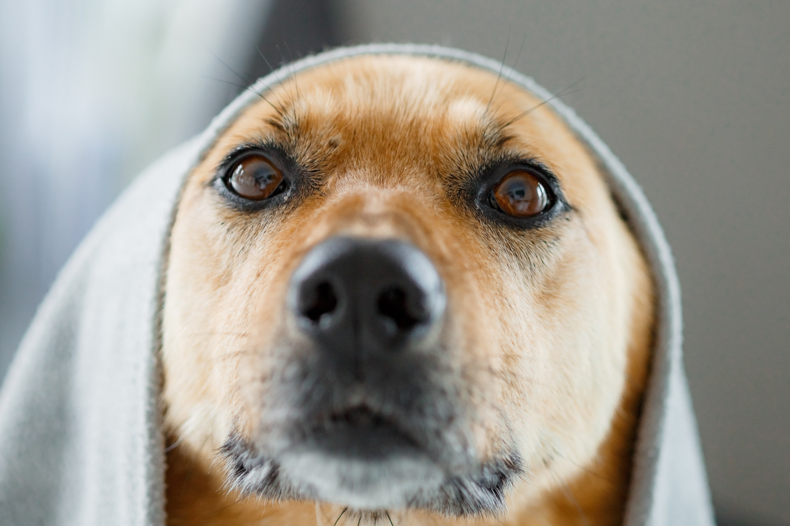 Джесси. Семейный фотограф в Екатеринбурге