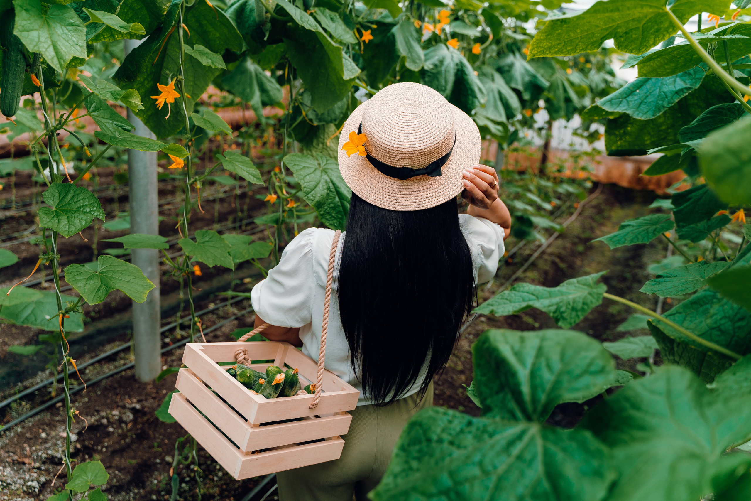 Огуречная история. Семейный и свадебный фотограф в Бугуруслане Екатерина Ронжина