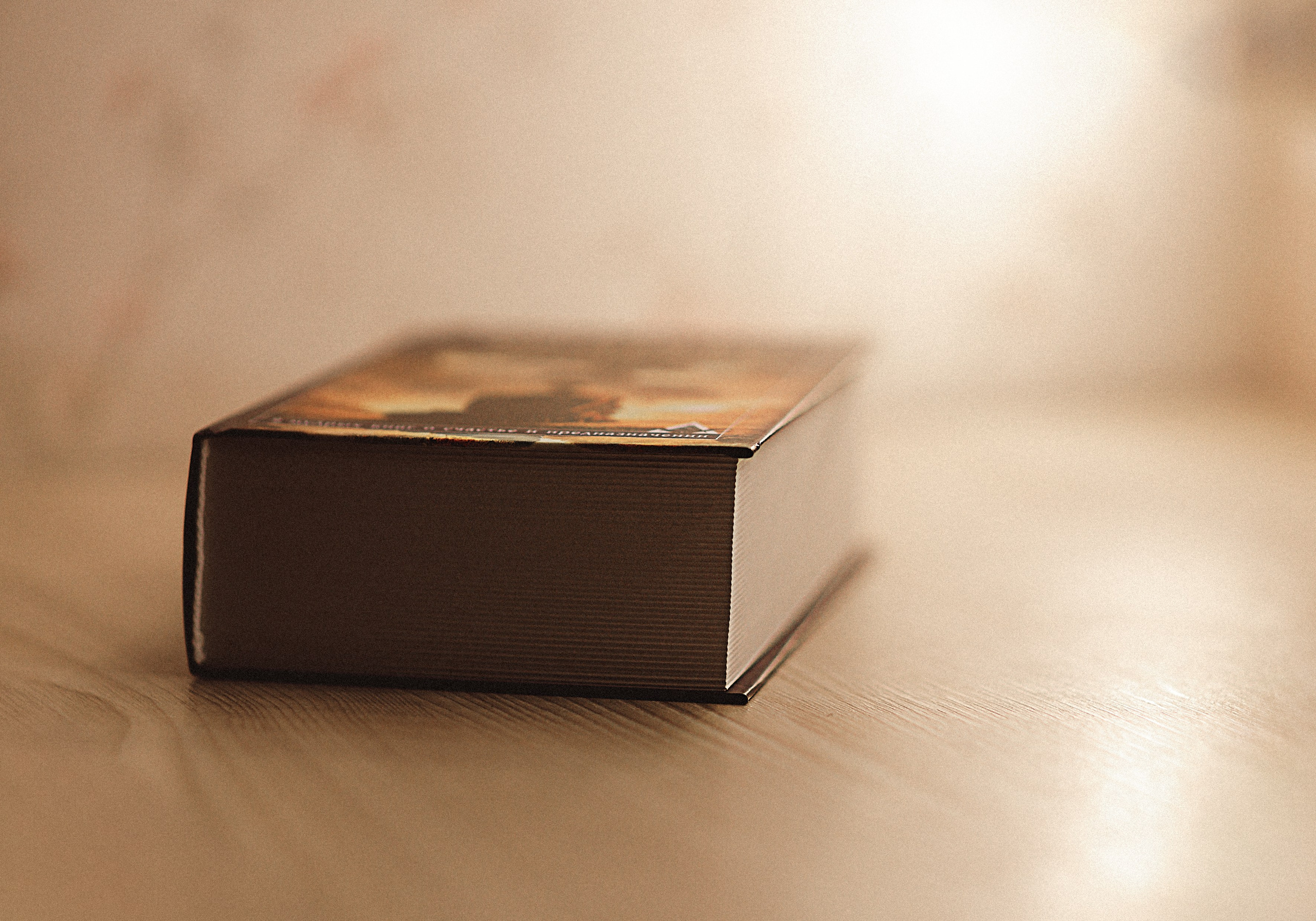 Проект «366»|2024|Фото каждый день. LENA GRACE photographer ||ЛЕНА ГРЭЙС фотограф