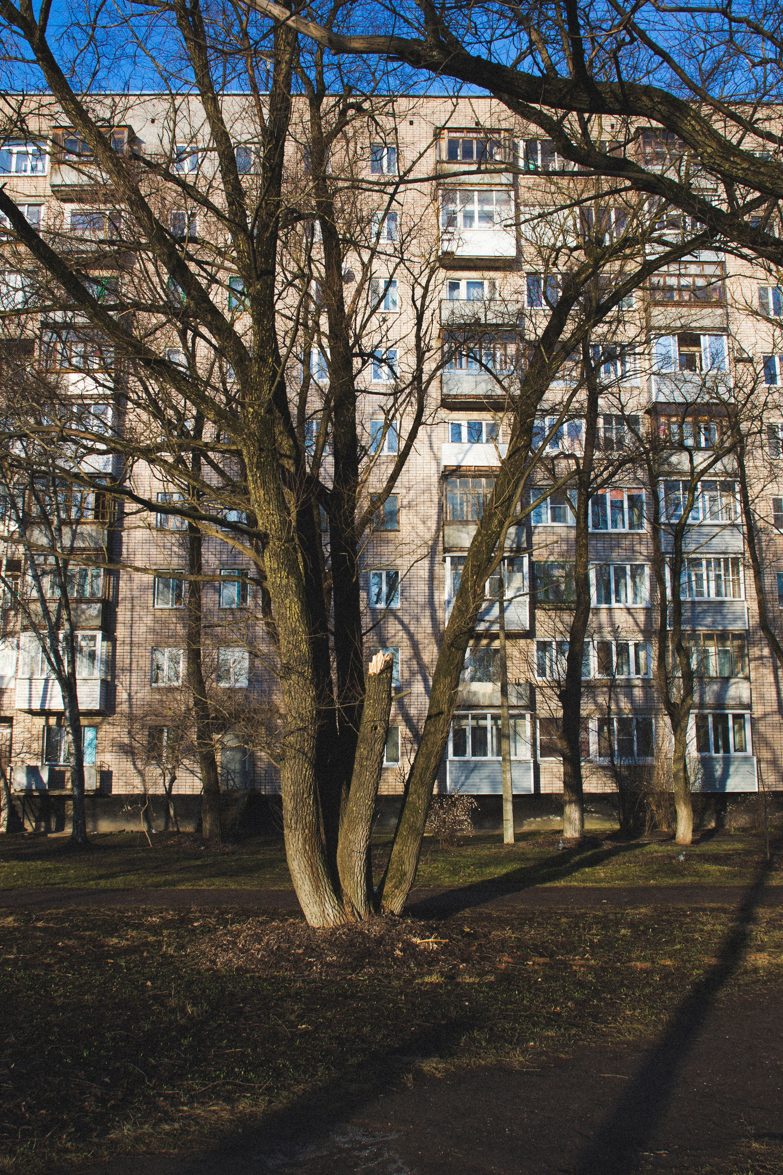 Великий Новгород. Фотограф Адигамова Юлия в Петербурге