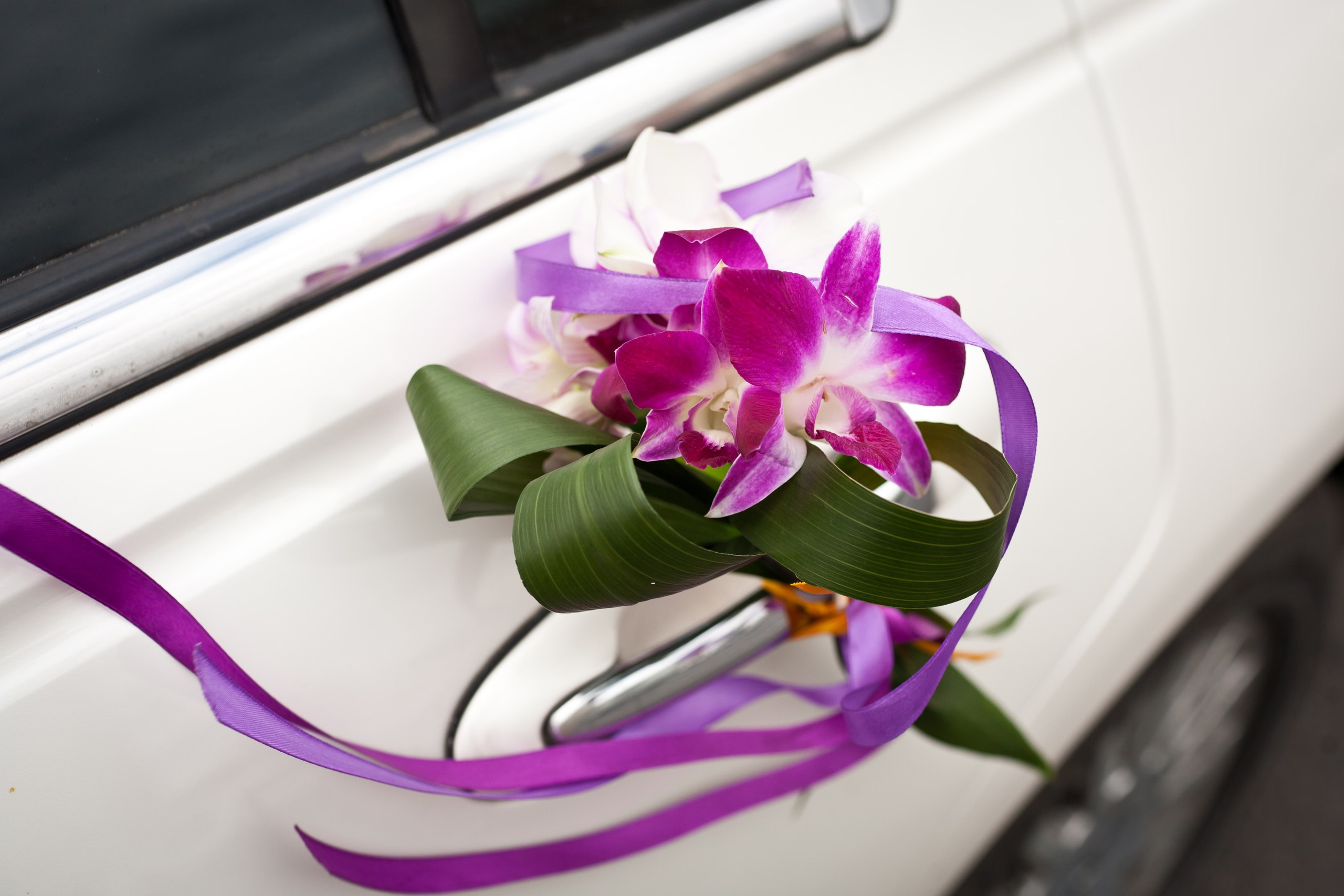 Съемка свадьбы в Серебряном бору. Фотографы в Москве Светлана Устинова и Сергей Грачев