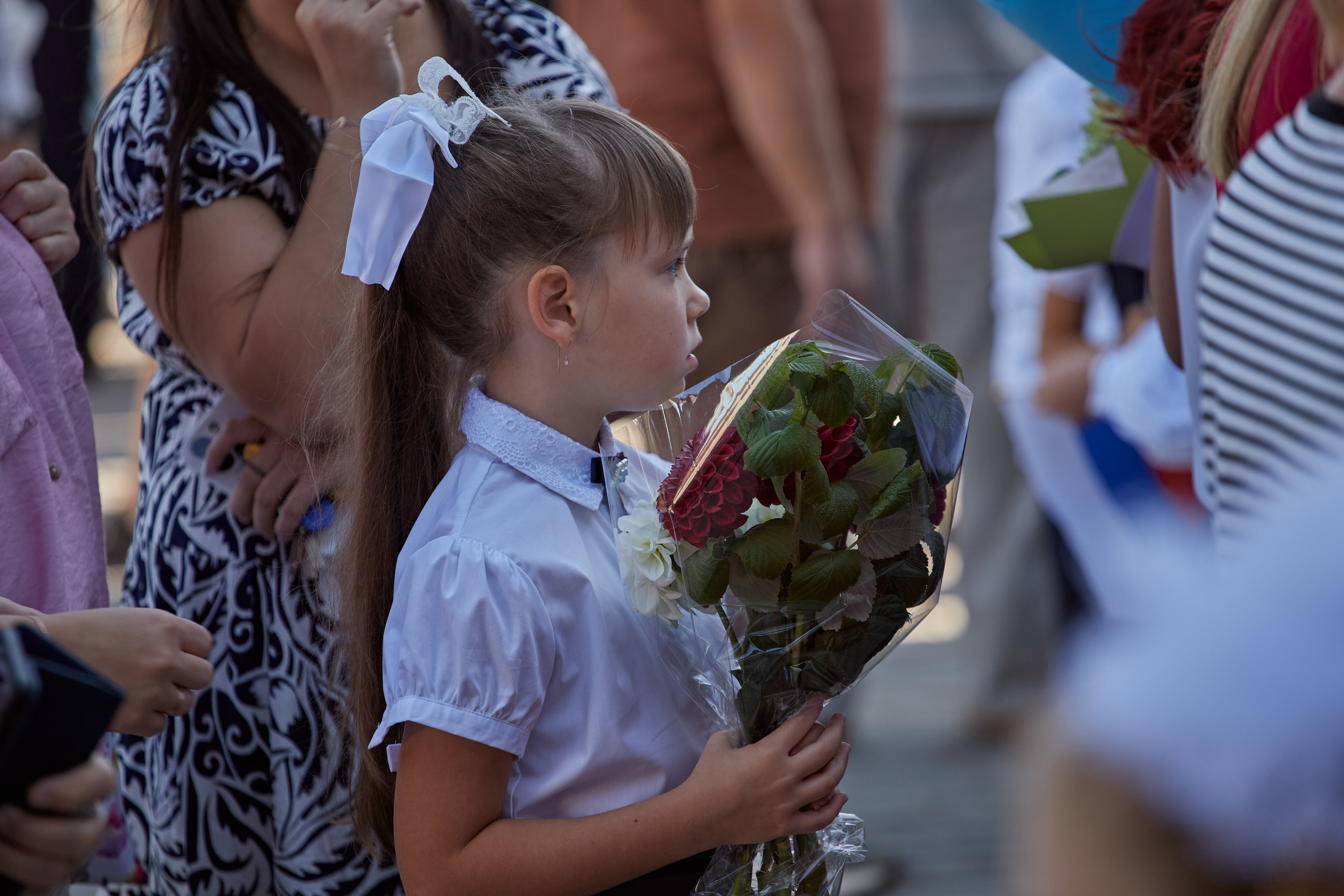 1 сентября 2024 года репортаж. Фотограф в Рязани. Свадьба, семейное фото, портрет. Константин Манго