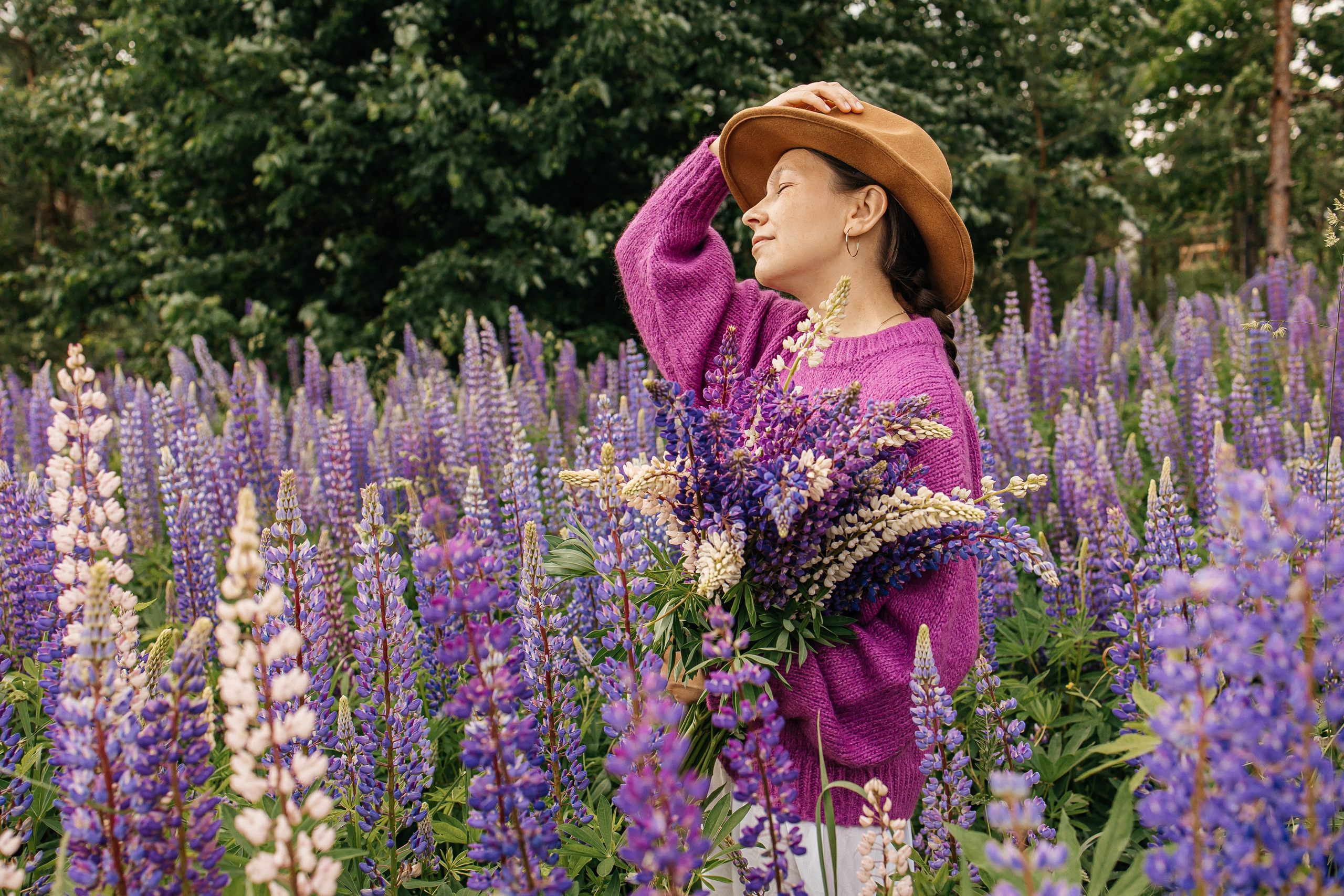 Люпины. Фотограф в Санкт-Петербурге Аня Григорьева ♡