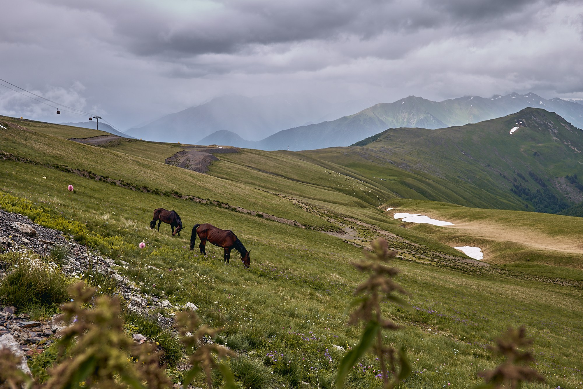 Arkhyz WildTrail Trip. Юлия Иванова. Фотограф для лучших моментов