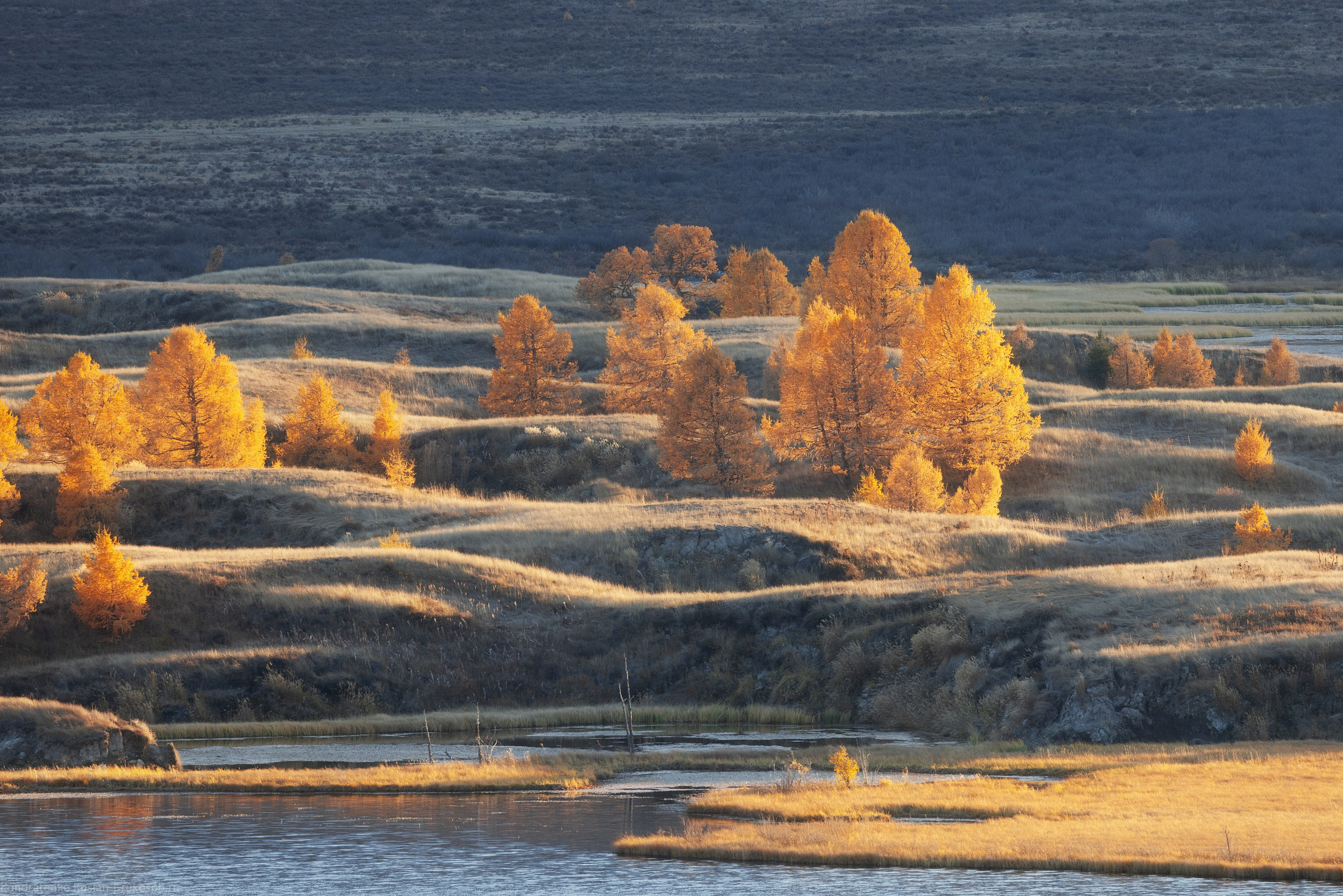 Горный Алтай. Архитектурный и пейзажный фотограф Кондратенко Руслан, Санкт-Петербург