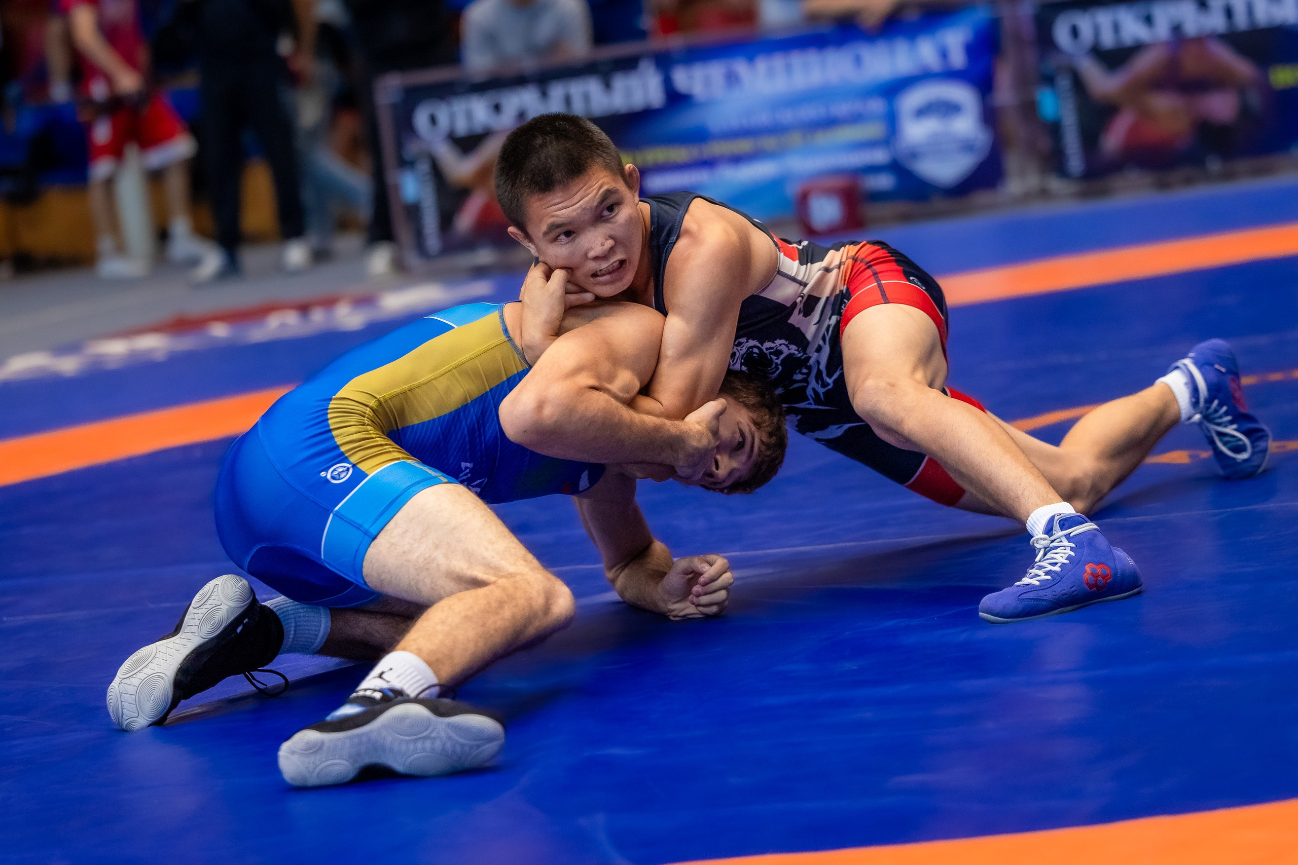 IX чемпионат Алтайского края по греко-римской борьбе. Репортажный фотограф в Барнауле Владимир Игнатов