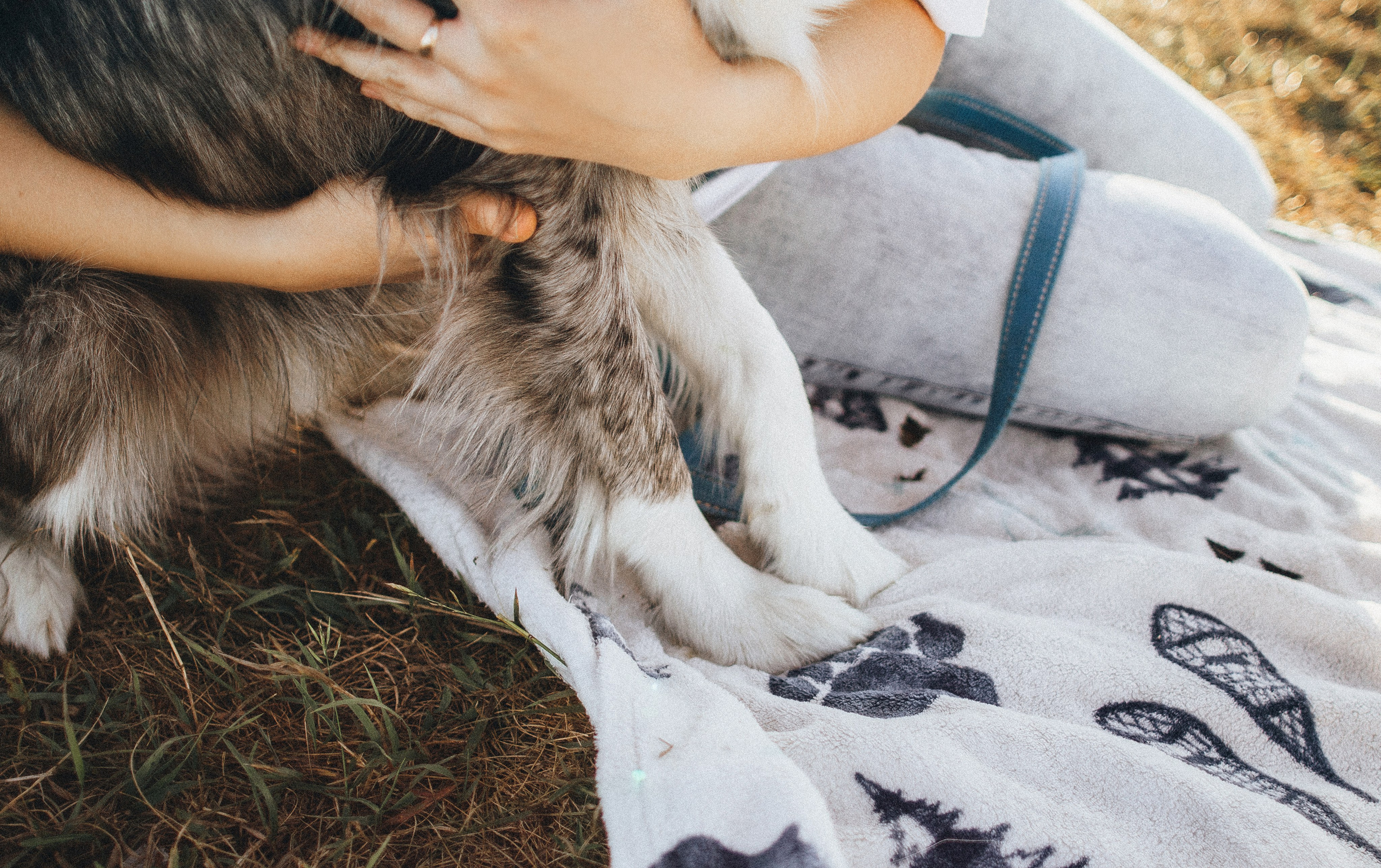 Таня и Бриллиант. Фотограф-анималист Богданова Полина