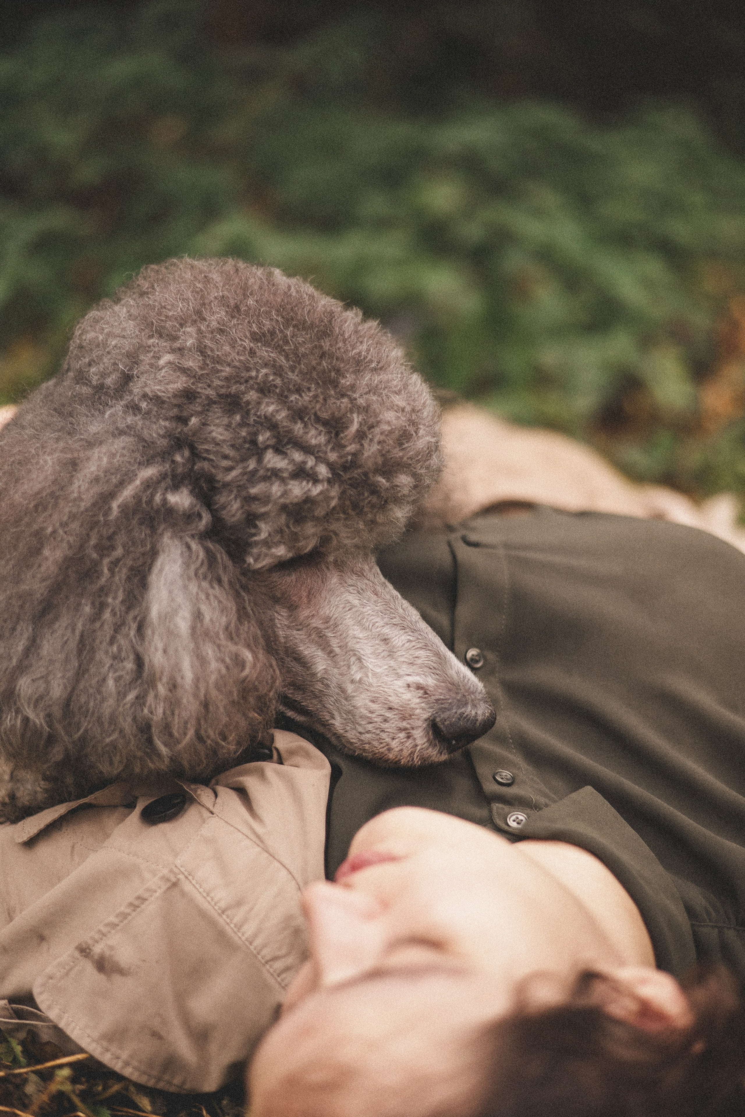 Алёна и Смоки. Фотограф-анималист Богданова Полина