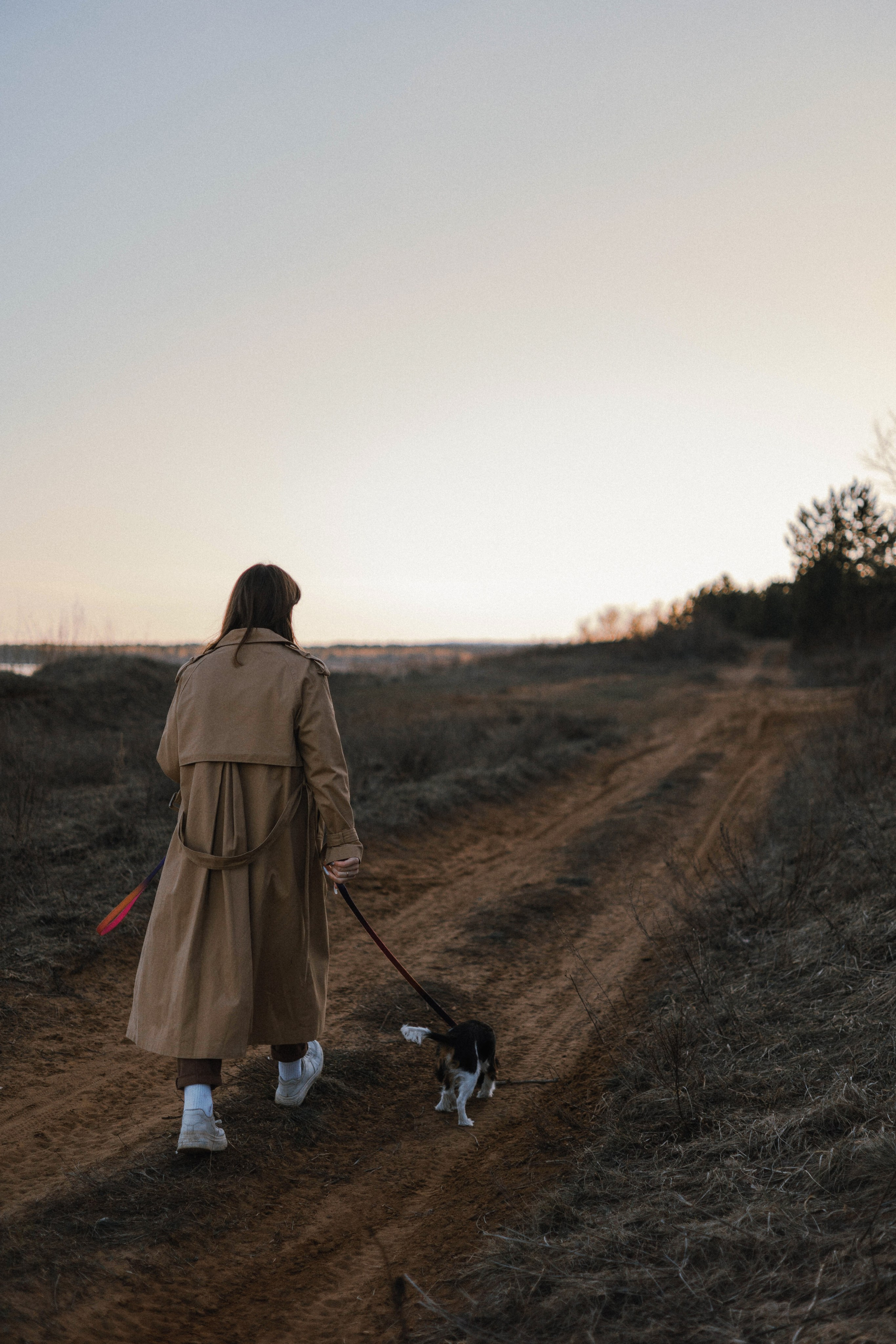 Ангелина и Йен. Фотограф-анималист Богданова Полина