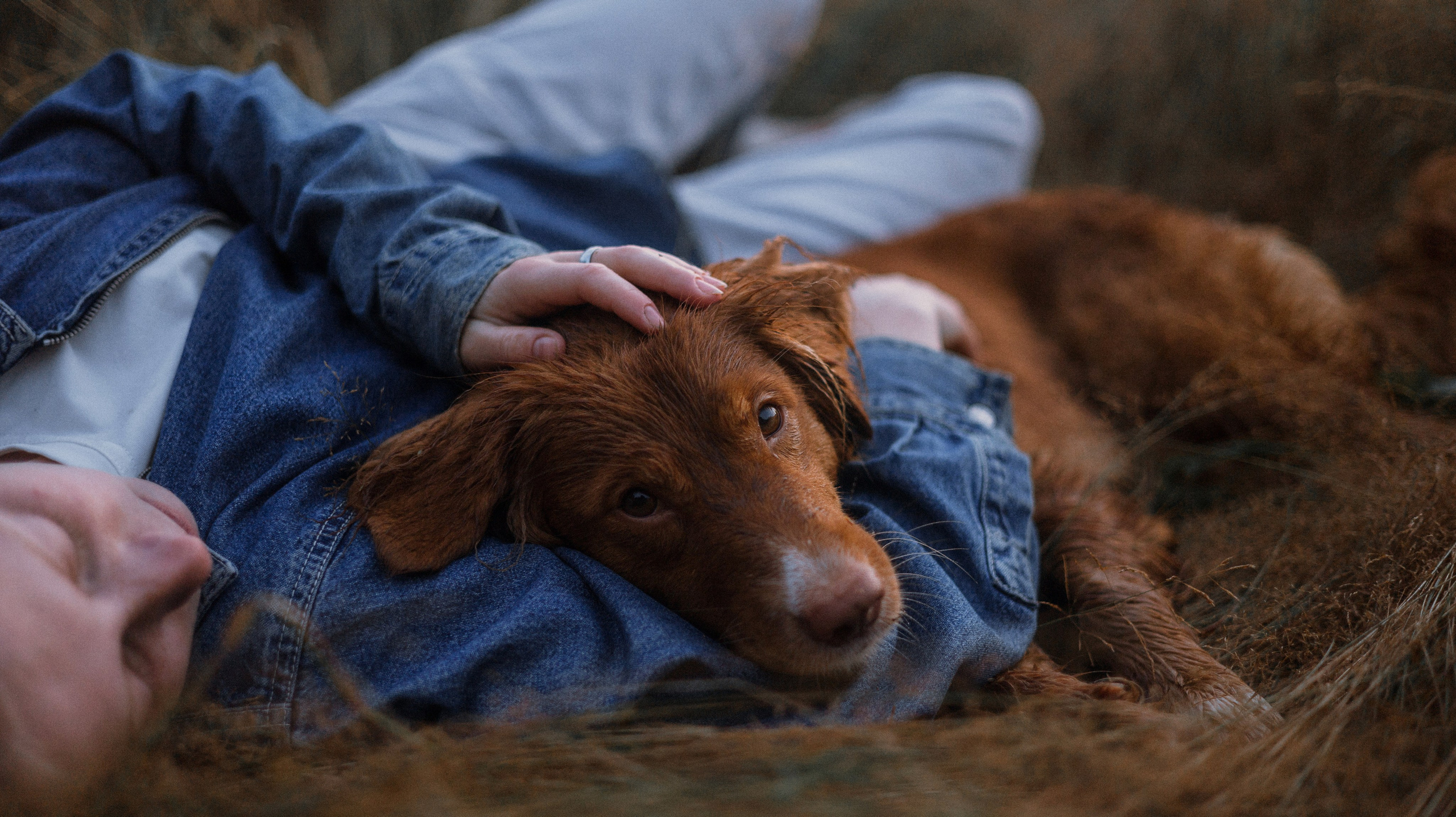 Ксюша и Мэди. Фотограф-анималист Богданова Полина