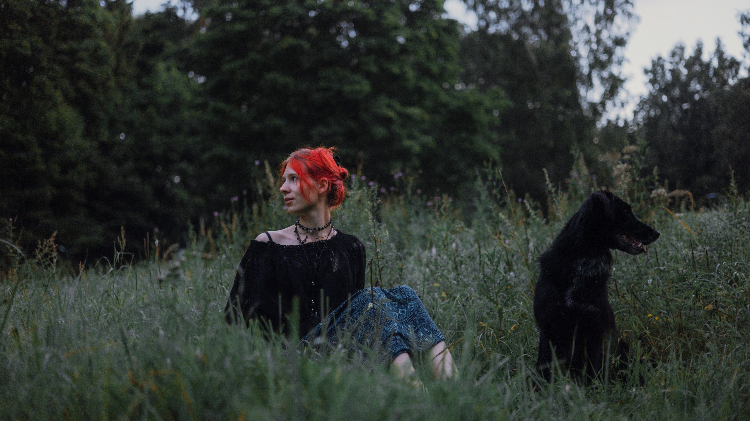 Лиза и Коди. Фотограф-анималист Богданова Полина