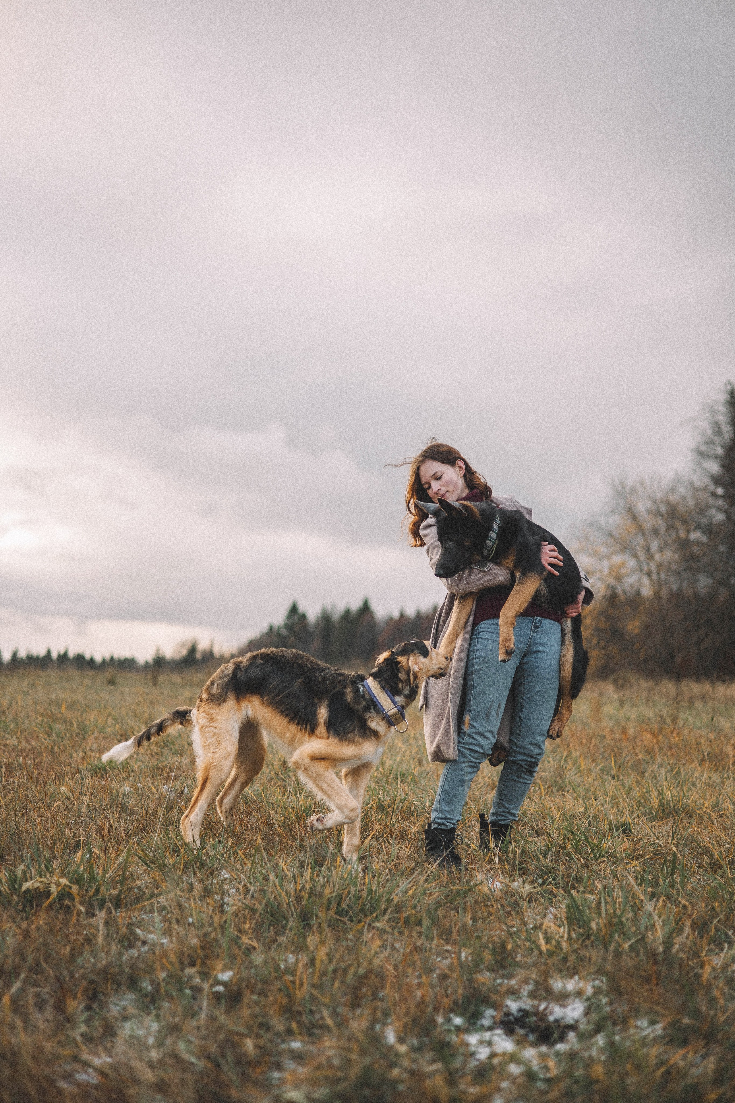 Алена, Леви и Микаса. Фотограф-анималист Богданова Полина