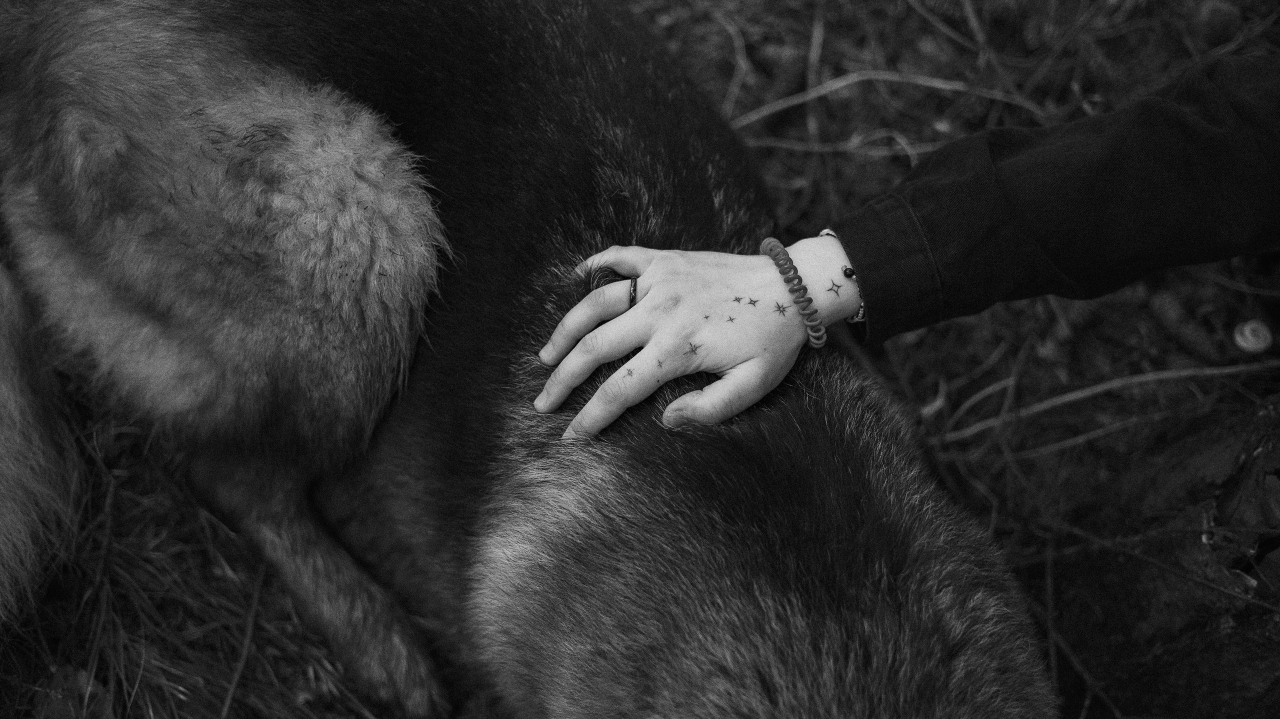 Лера и Ральф. Фотограф-анималист Богданова Полина