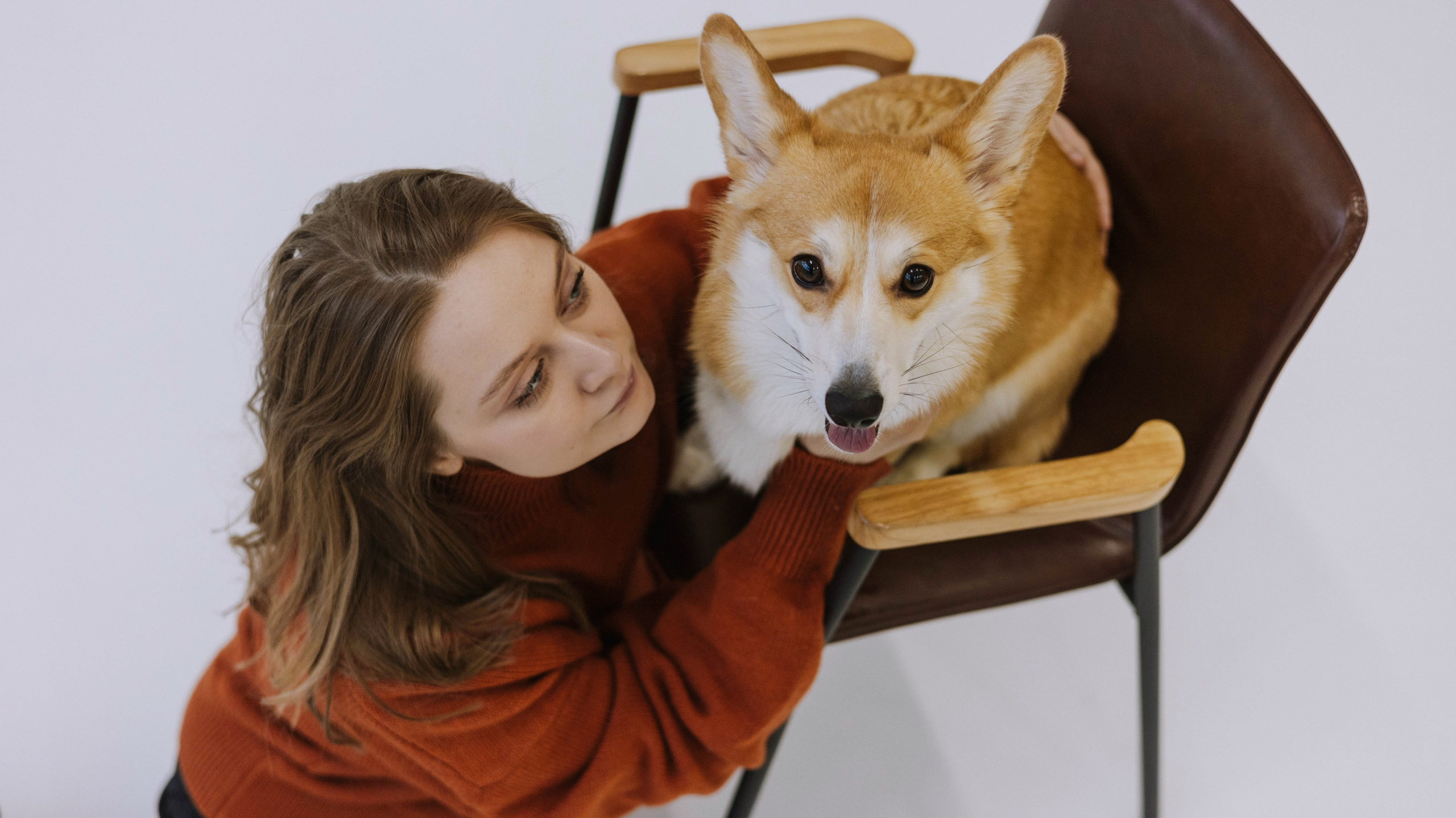 Настя и Мия. Фотограф-анималист Богданова Полина